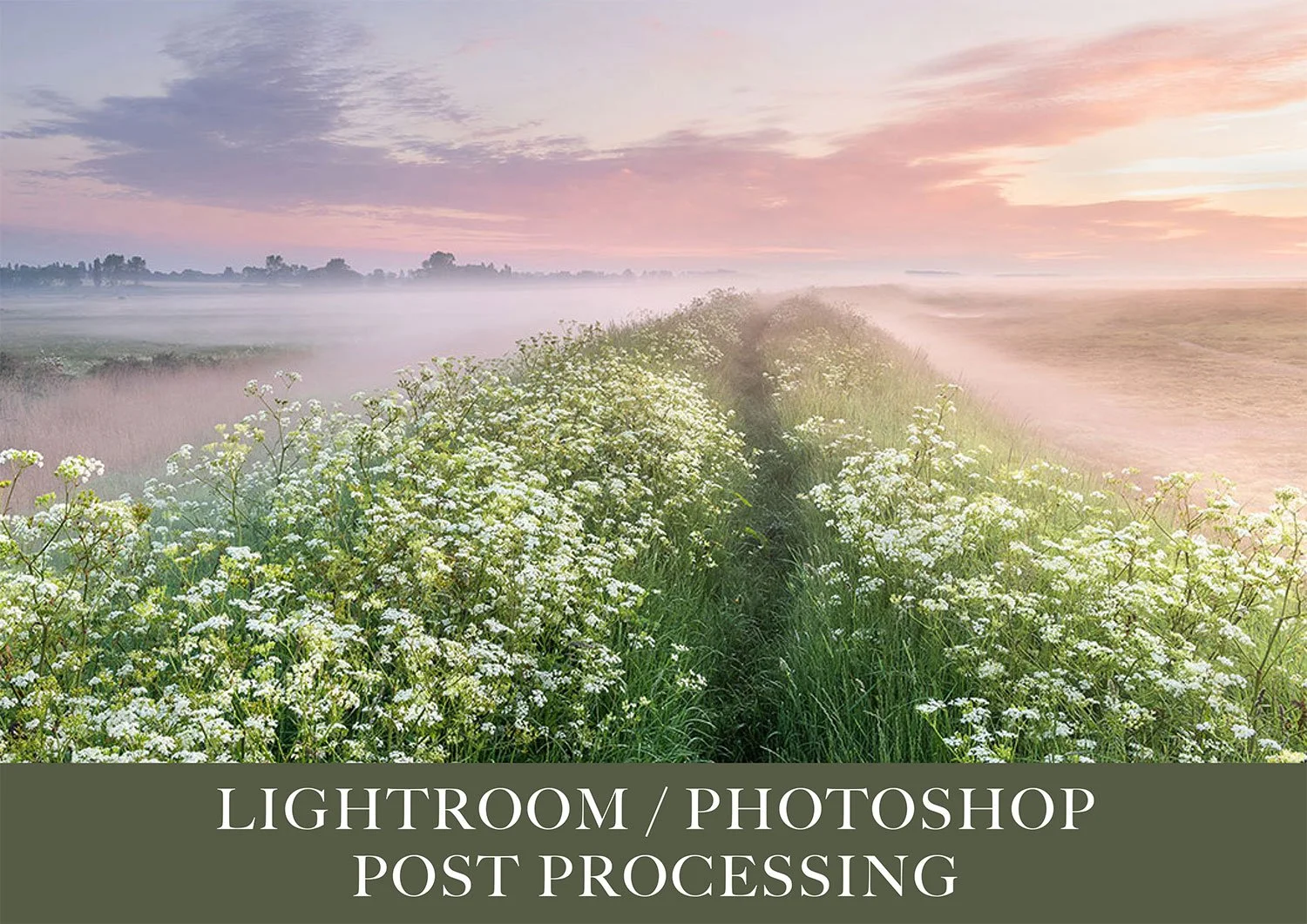 Learn Lightroom Half Day Processing Session