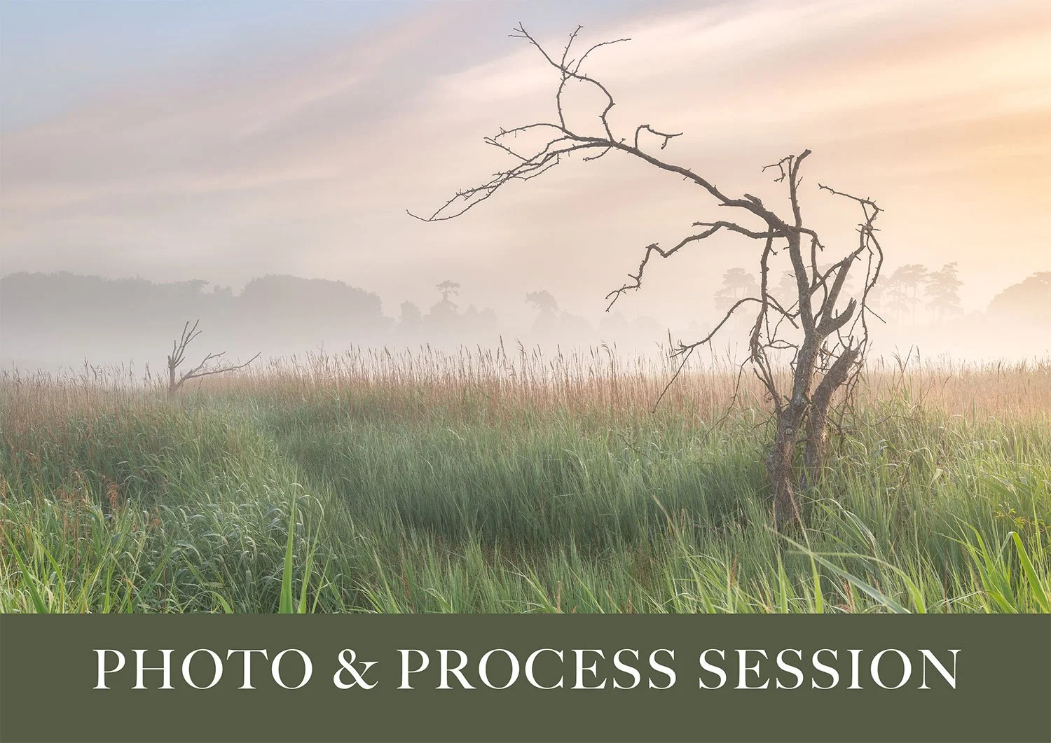 Photo and Process Full Day Workshop