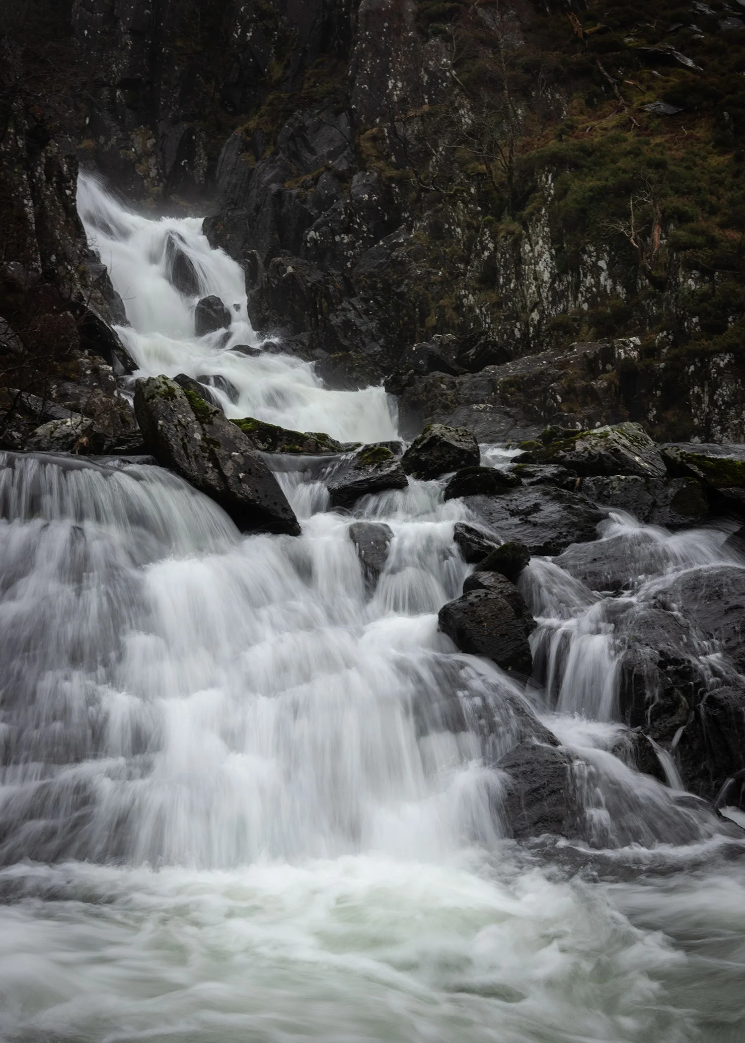 DSC_1551.jpg
