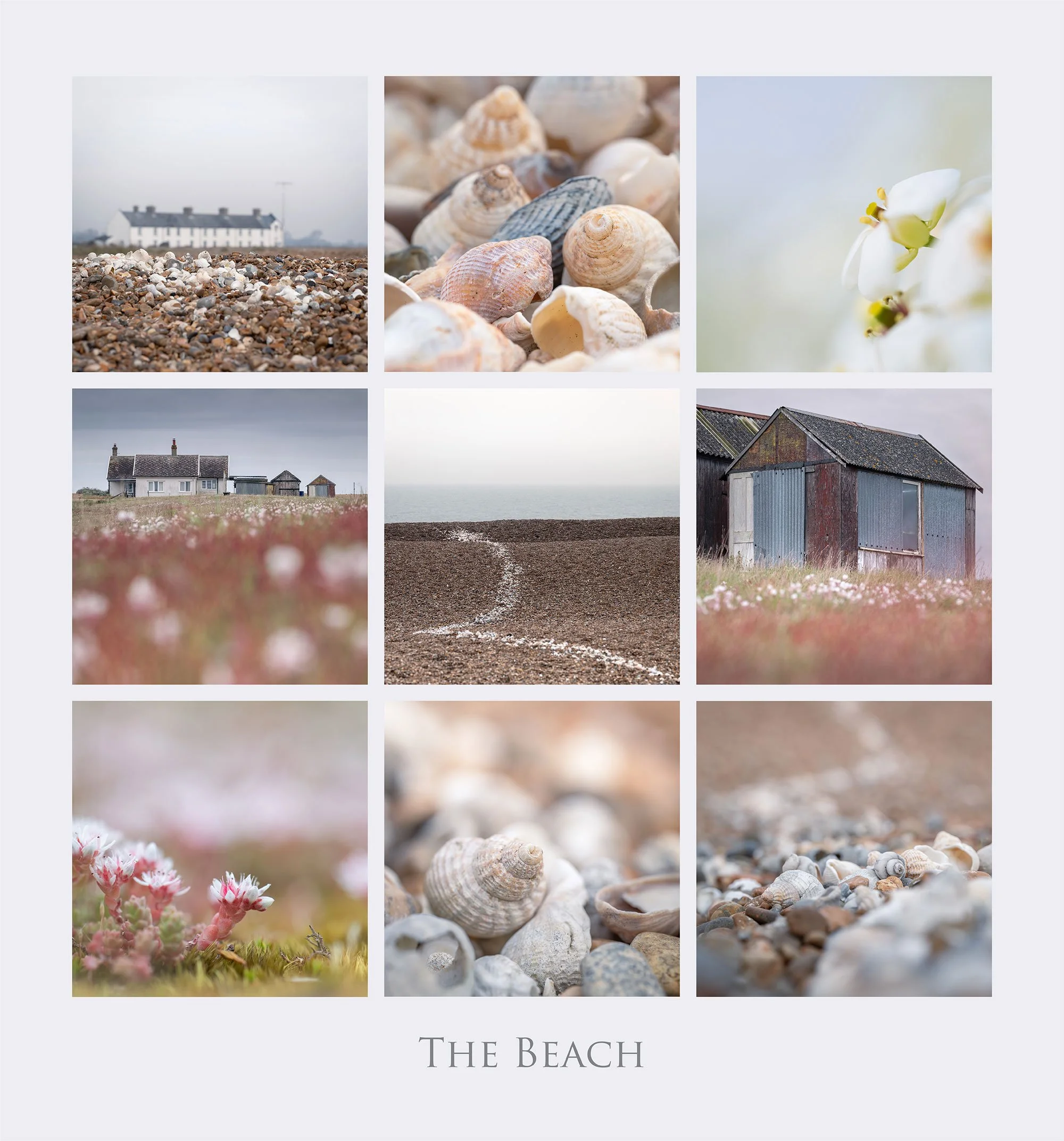 The_Beach.jpg