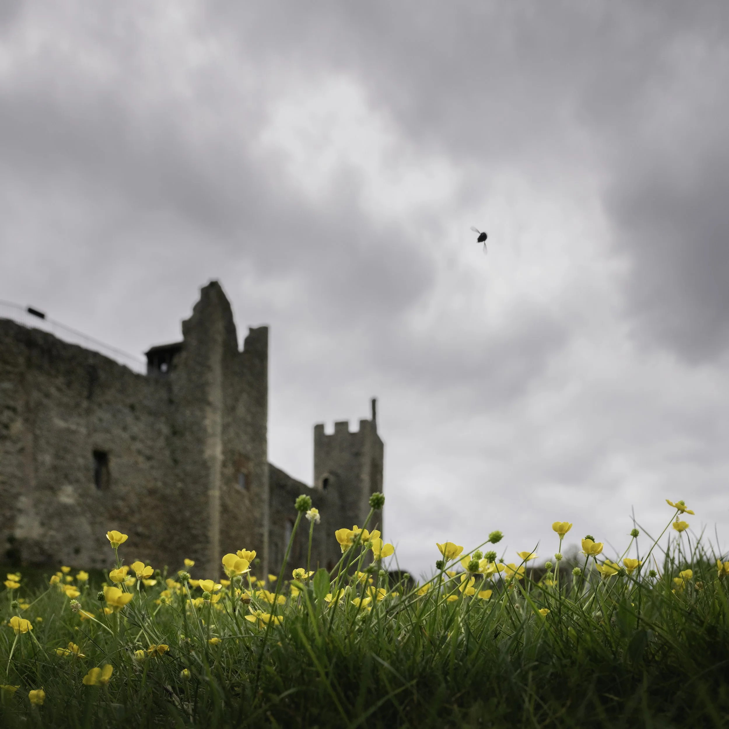 Framlingham_6743.jpg