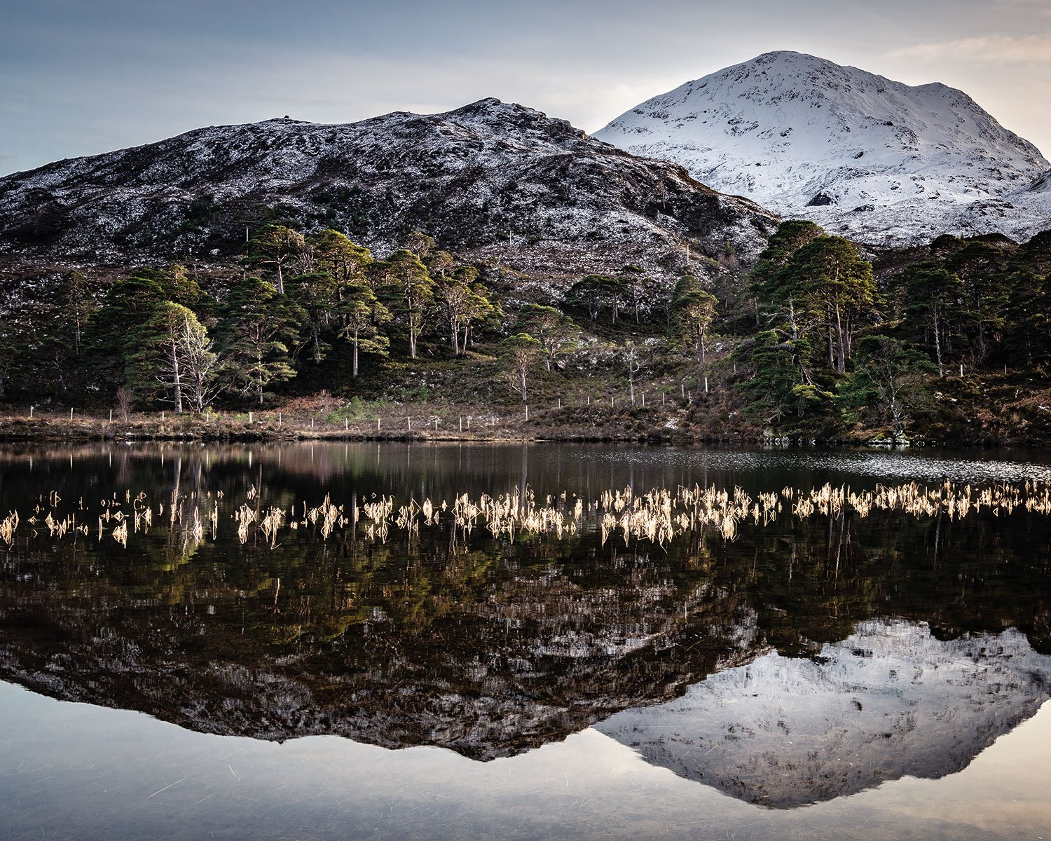 Torridon_6675cmyk.jpg