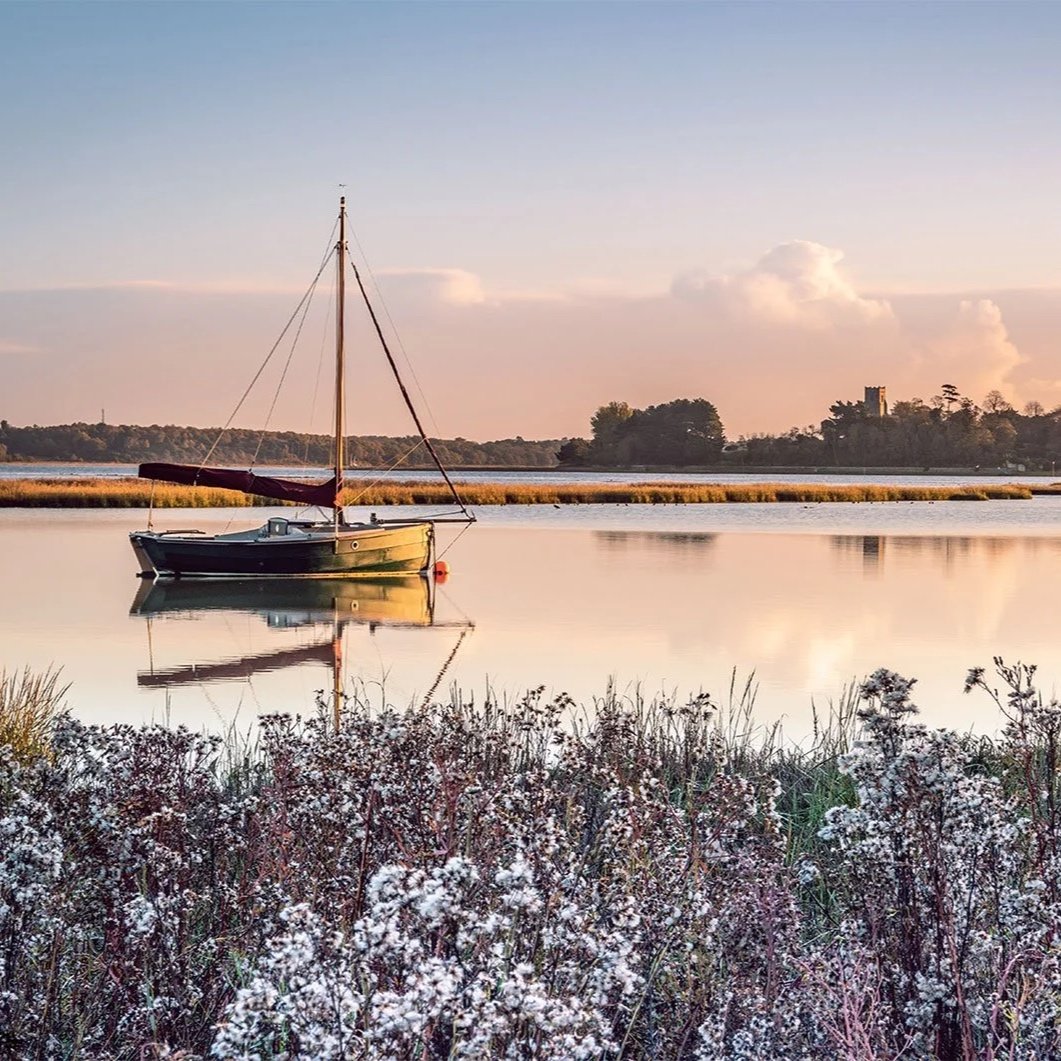 A sailboat floating on calm water with reflections, surrounded by wildflowers in the foreground and trees in the background during sunset.