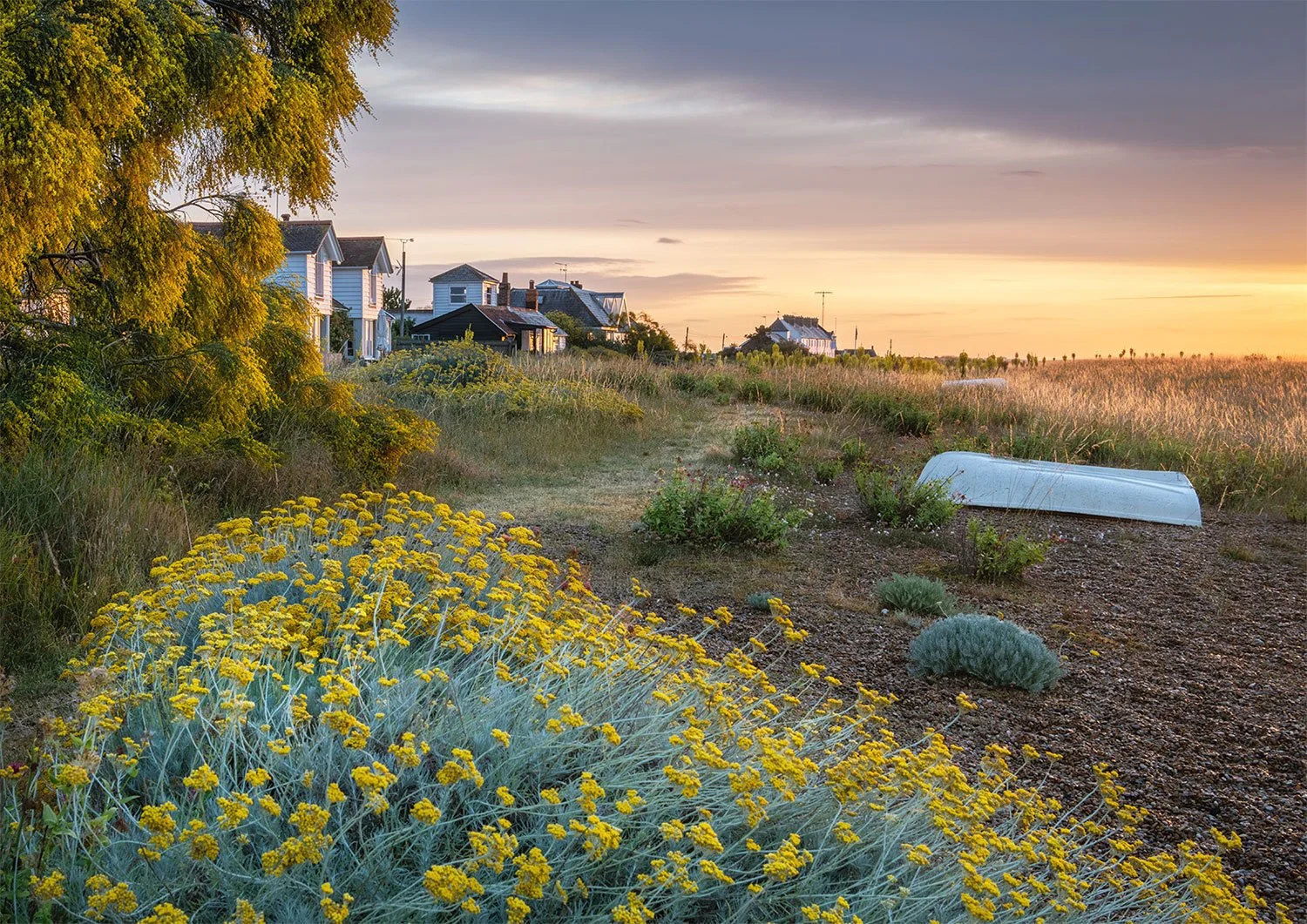 Sunshine, Shingle Street, Greetings Card