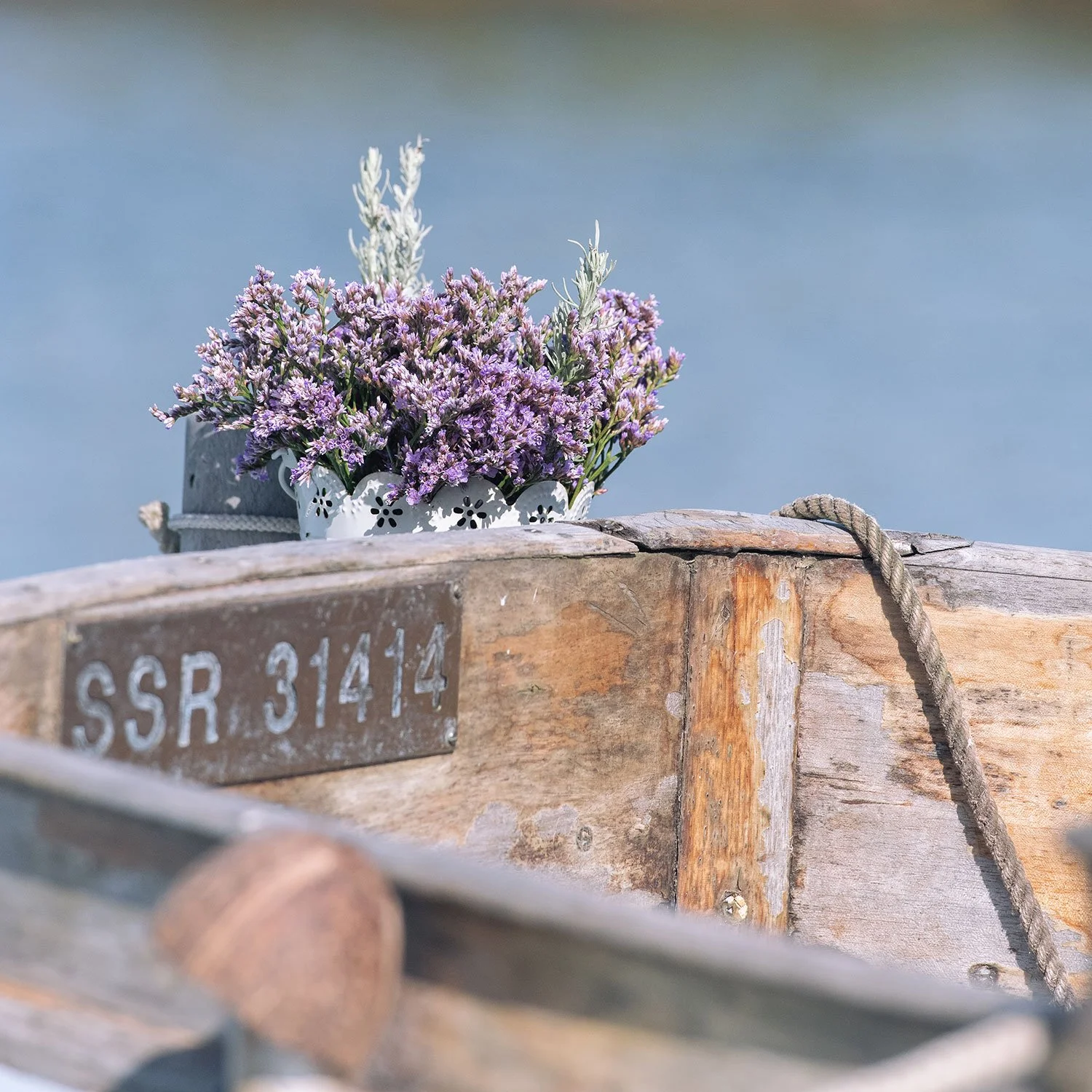 Blakeney_2461.jpg