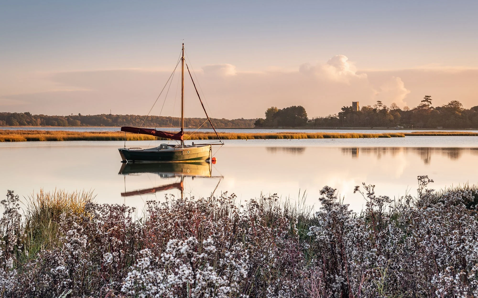 A sailboat floating on calm water with reflections, surrounded by marsh grass and flowers, with a distant tree-lined shoreline and castle tower in the background during sunset.