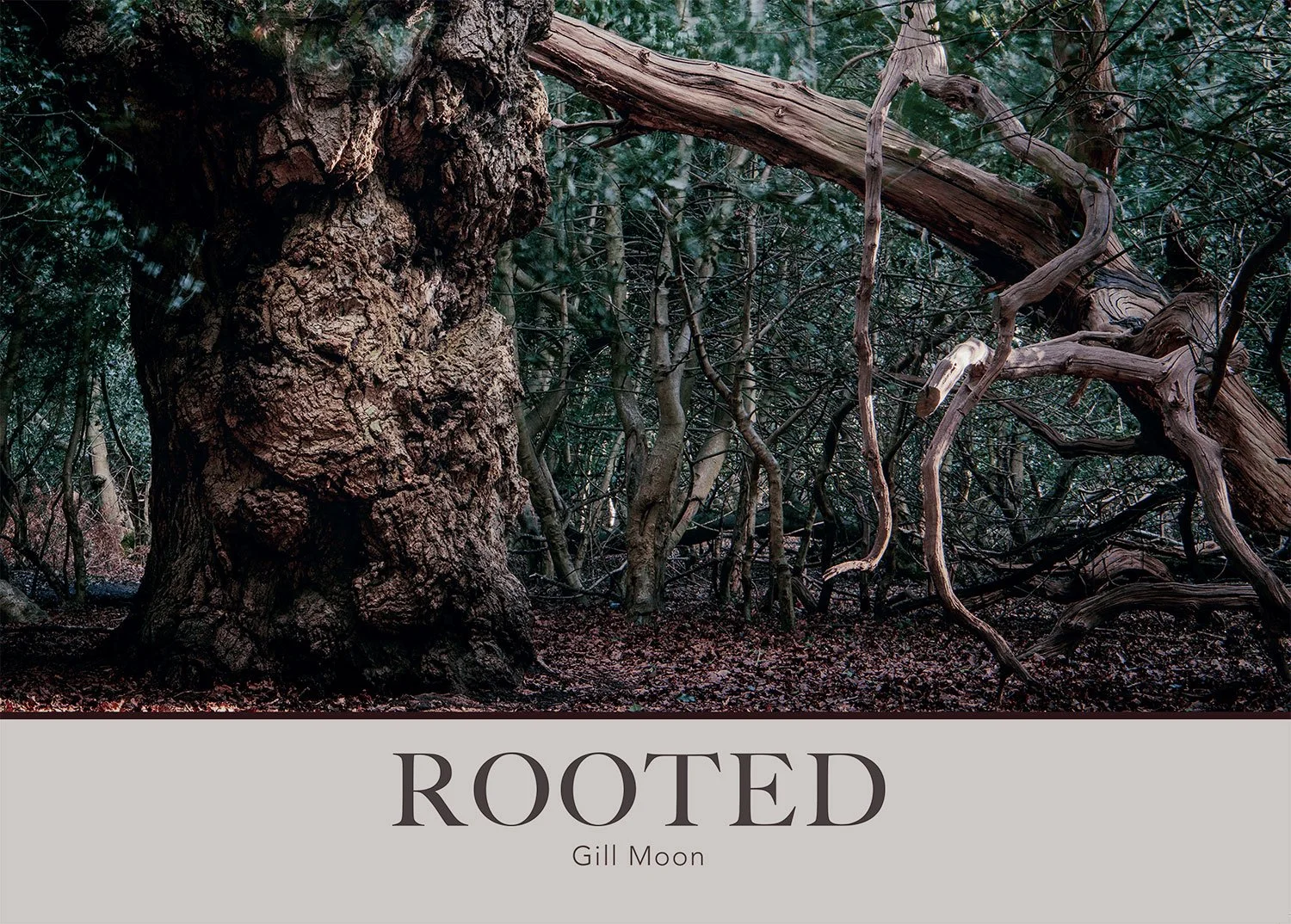 Rooted_Cover_Spreads.jpg