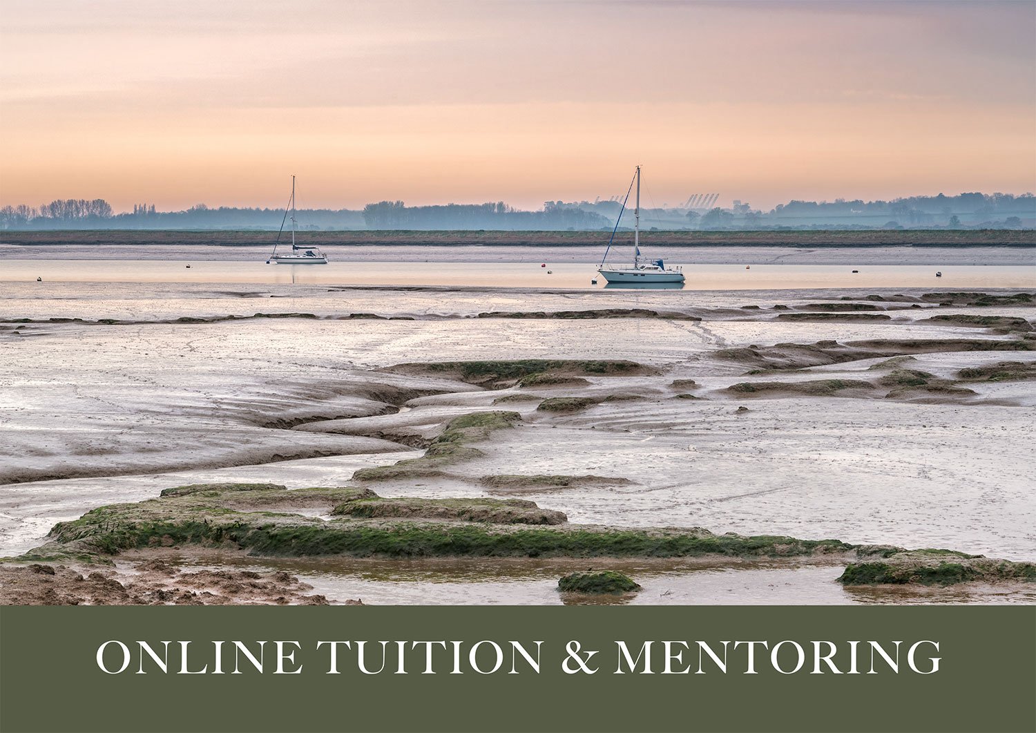 Online Tuition and Mentoring