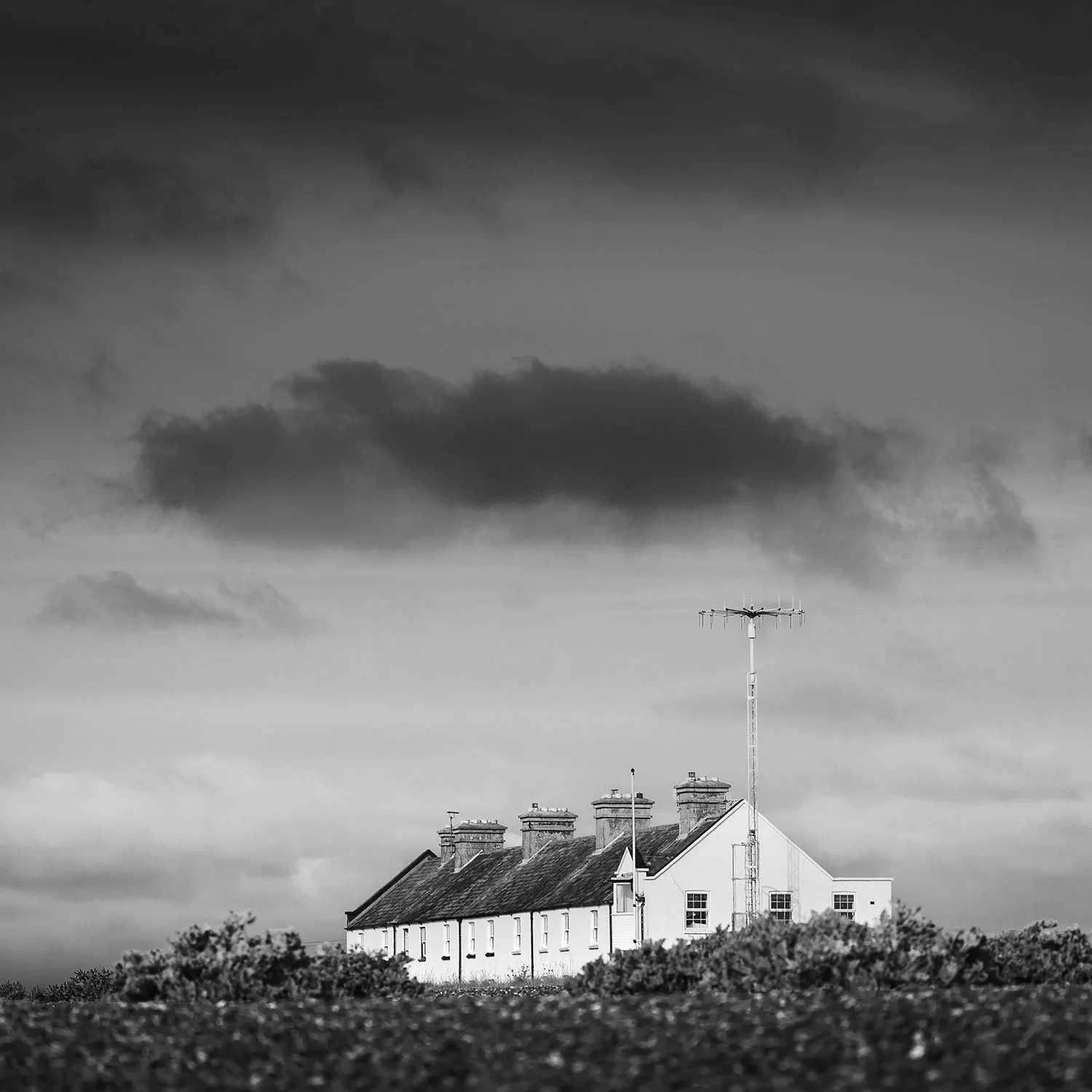 DSC_8147.jpg