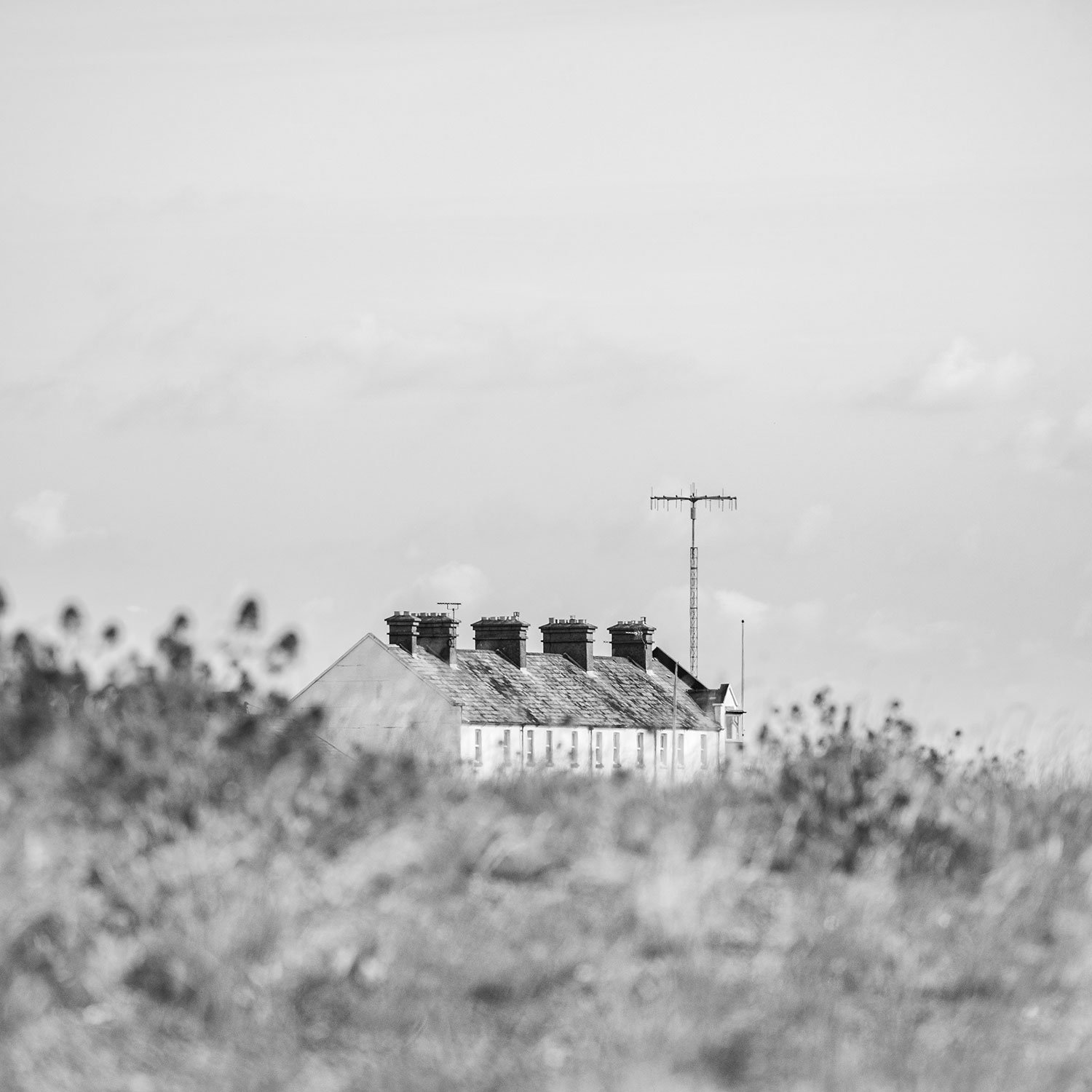 DSC_8187.jpg