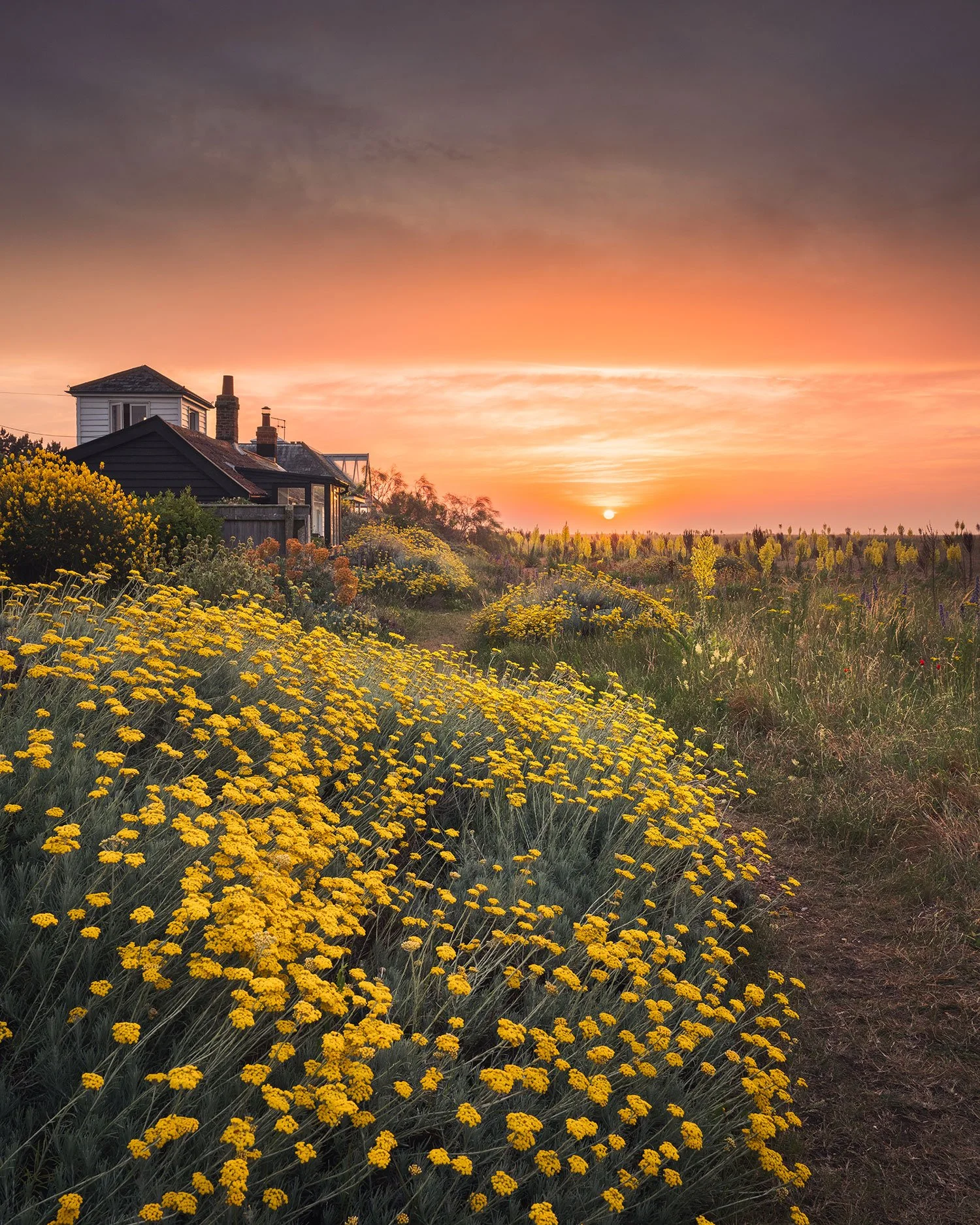 Sunshine Coast, Shingle Street, Portrait