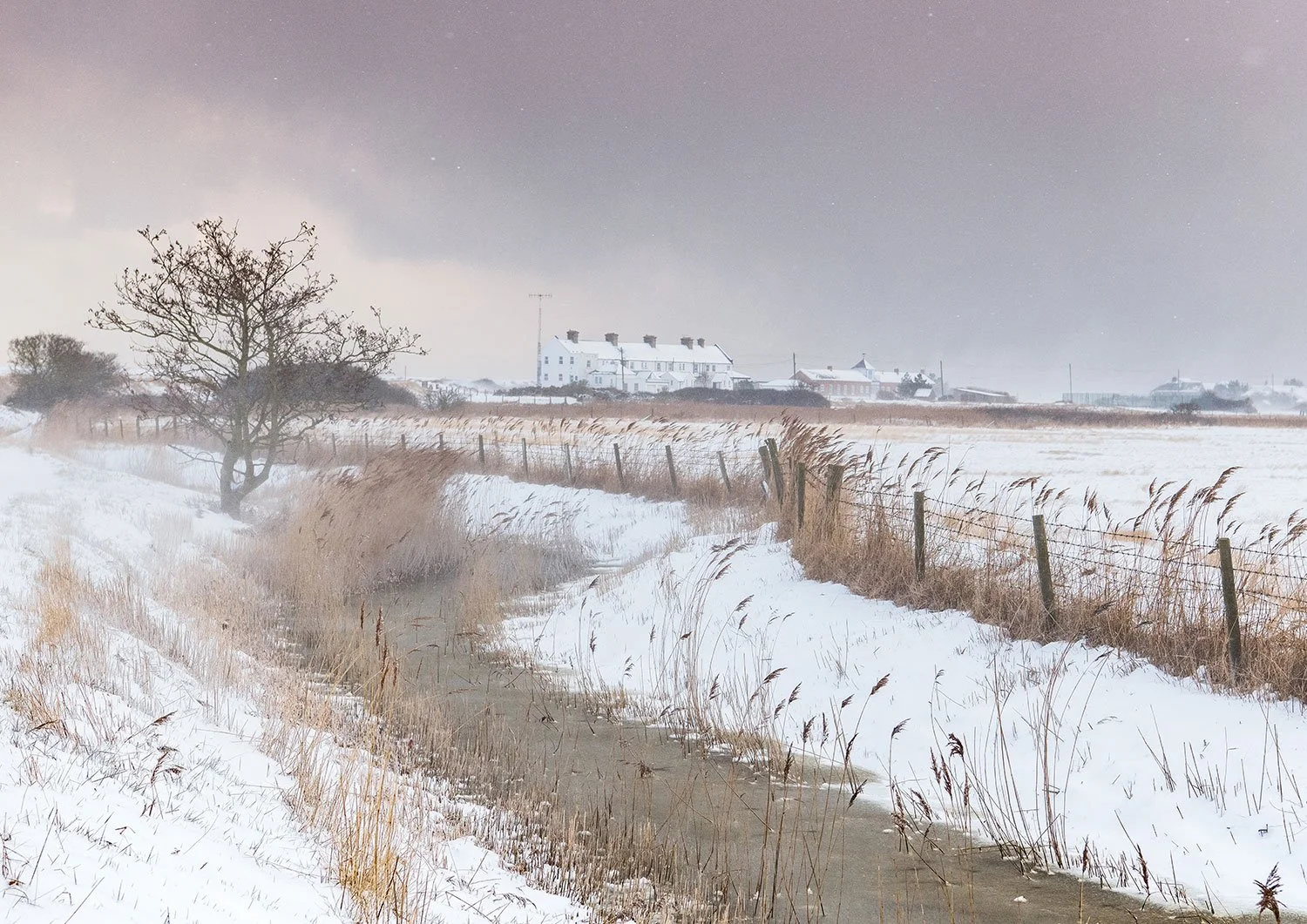 Snow, Shingle Street