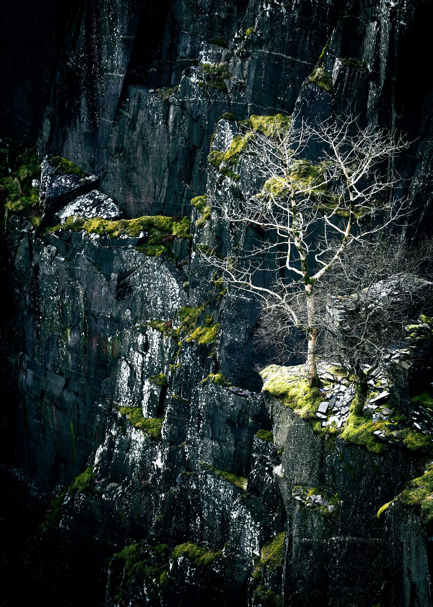 Snowdonia_0673.jpg