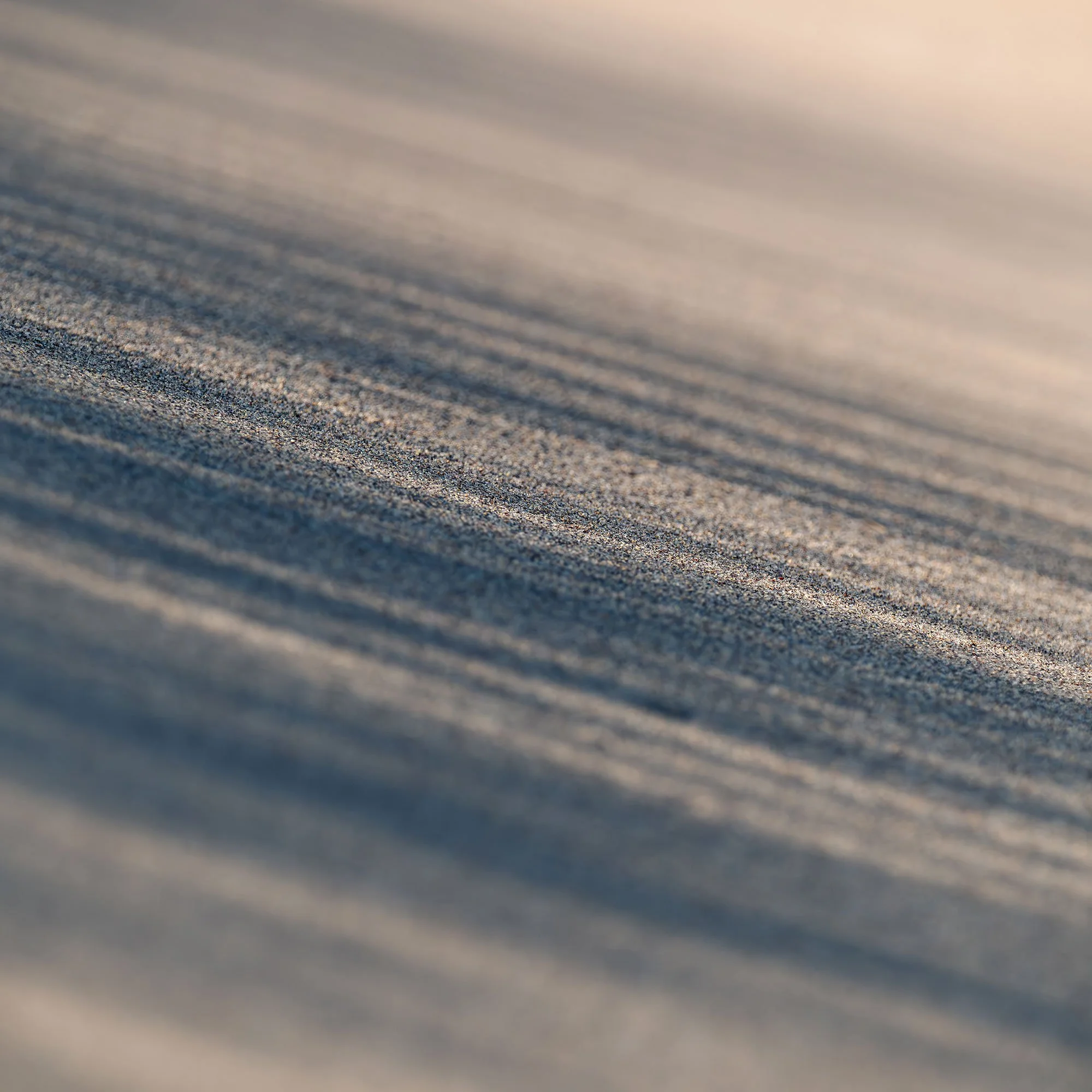 Sand_shadows_3596.jpg