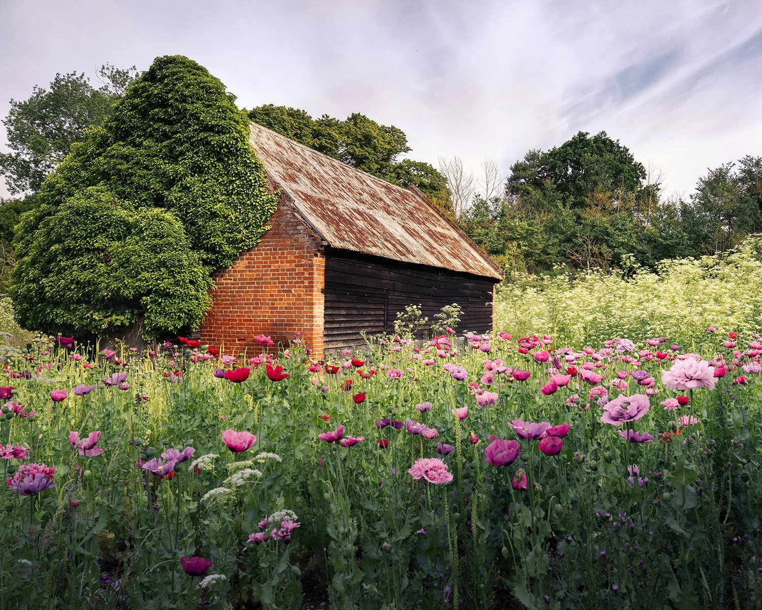 The old barn