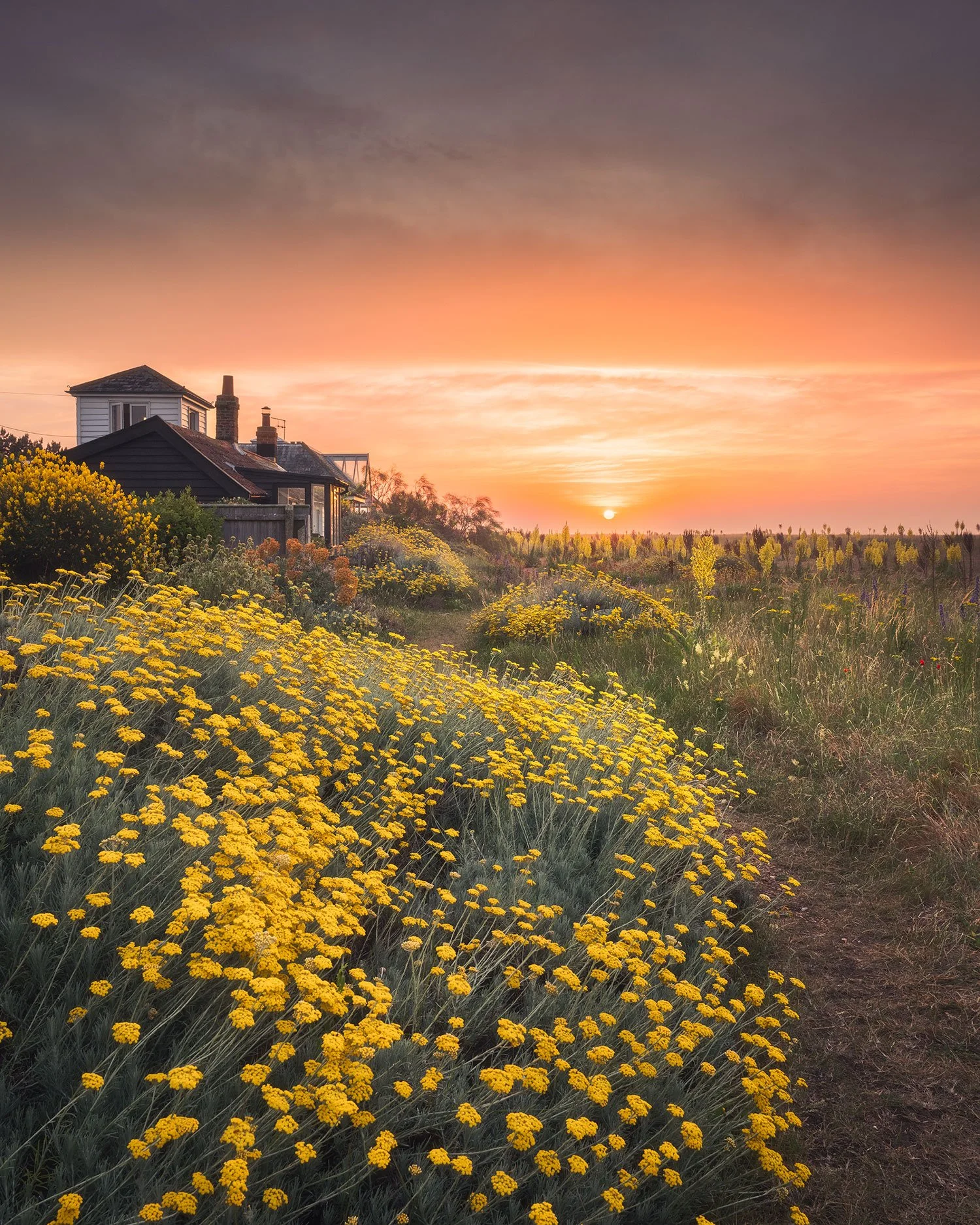 Sunshine Coast - Shingle Street