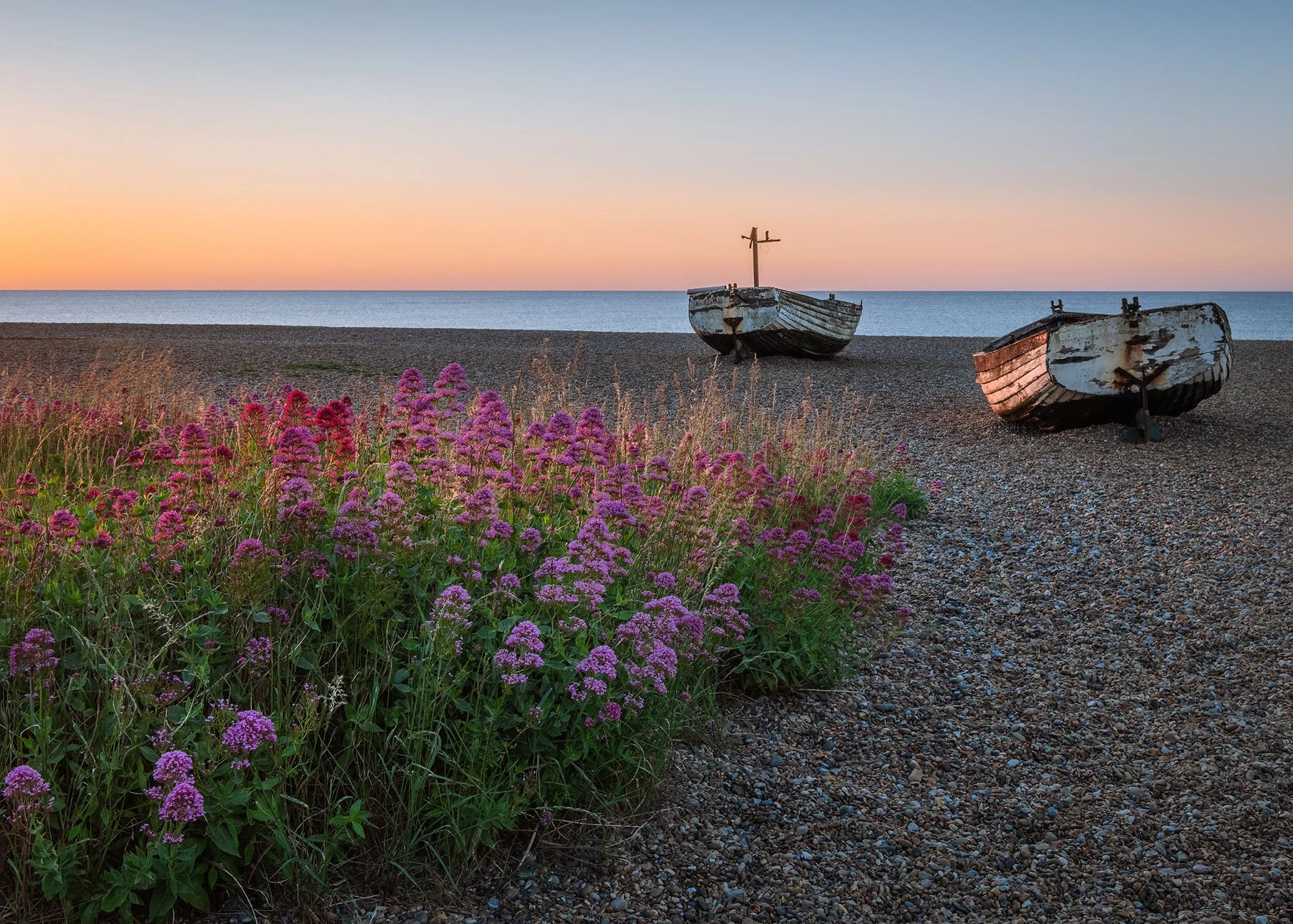 Suffolk's Floral Coast - 5th June