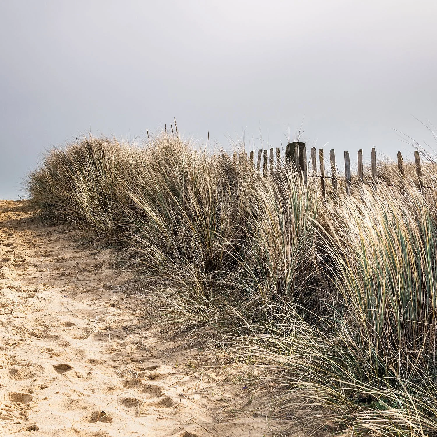 Walberswick_8527.jpg