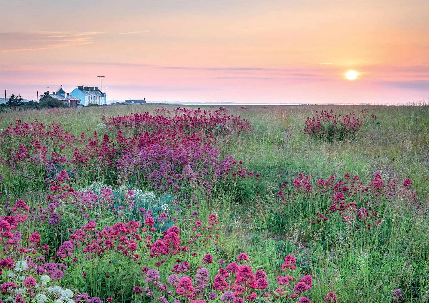 Shingle Street Sunrise, Greetings Card
