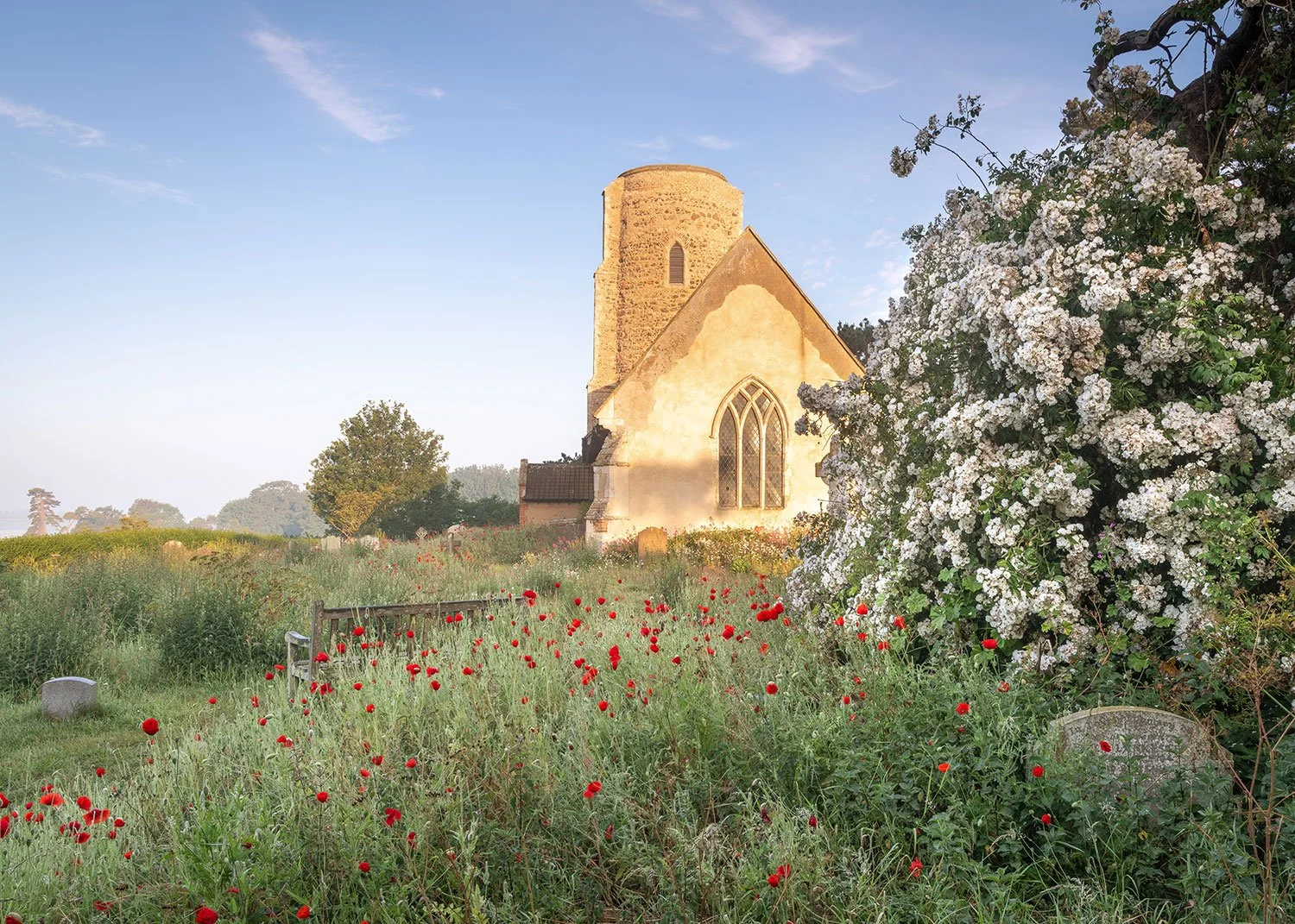 Coffee and Cake Photo Walk - Ramsholt - 20th June