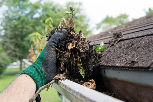 A person wearing a green glove removes debris and plant roots from a roof gutter outside.