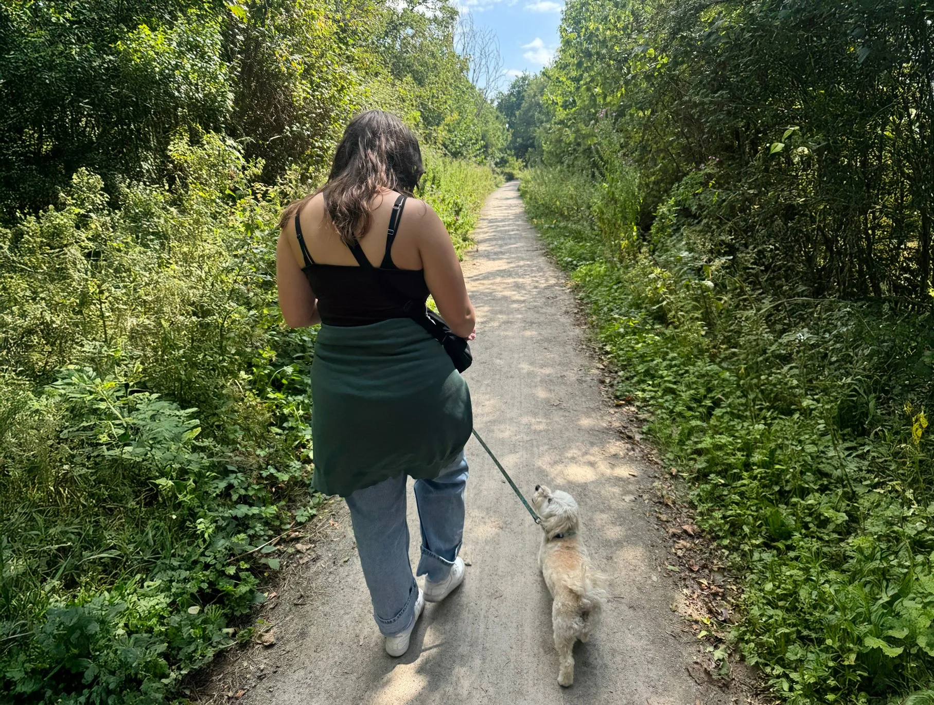 Dog Walker in St Albans