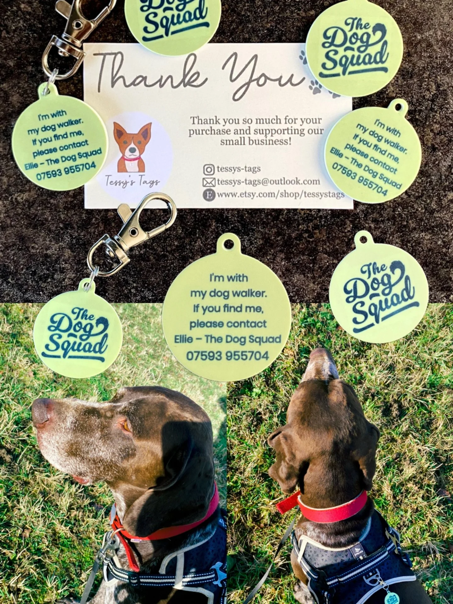 A big thank you to @tessys_tags for our new branded Dog Squad tags &ndash; we absolutely love them 💚🐾

Whenever we walk your dog, we attach a Dog Squad tag to their harness or collar so the public always know they&rsquo;re in our care.

Because you