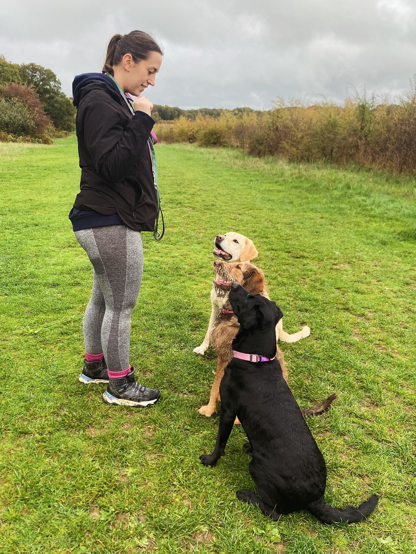 Happy New Year 🎉🐾

I hope you&rsquo;ve all had a lovely break! 

I&rsquo;m very much looking forward to 2026 being a great year of muddy paws, wagging tails and happy walks and I can&rsquo;t wait to spend it with some new (and familiar!) furry face
