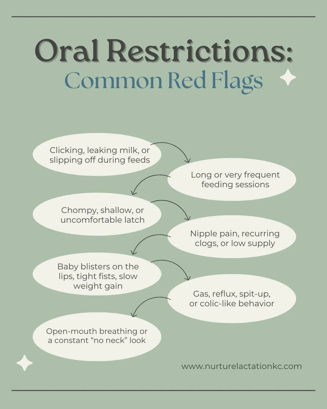 ✨ Oral Ties: What Parents Should Know ✨
Lip ties, tongue ties, and buccal ties can all affect the way your baby feeds, gains weight, and even how you feel during breastfeeding or bottle feeding. And often, the signs show up long before anyone mention