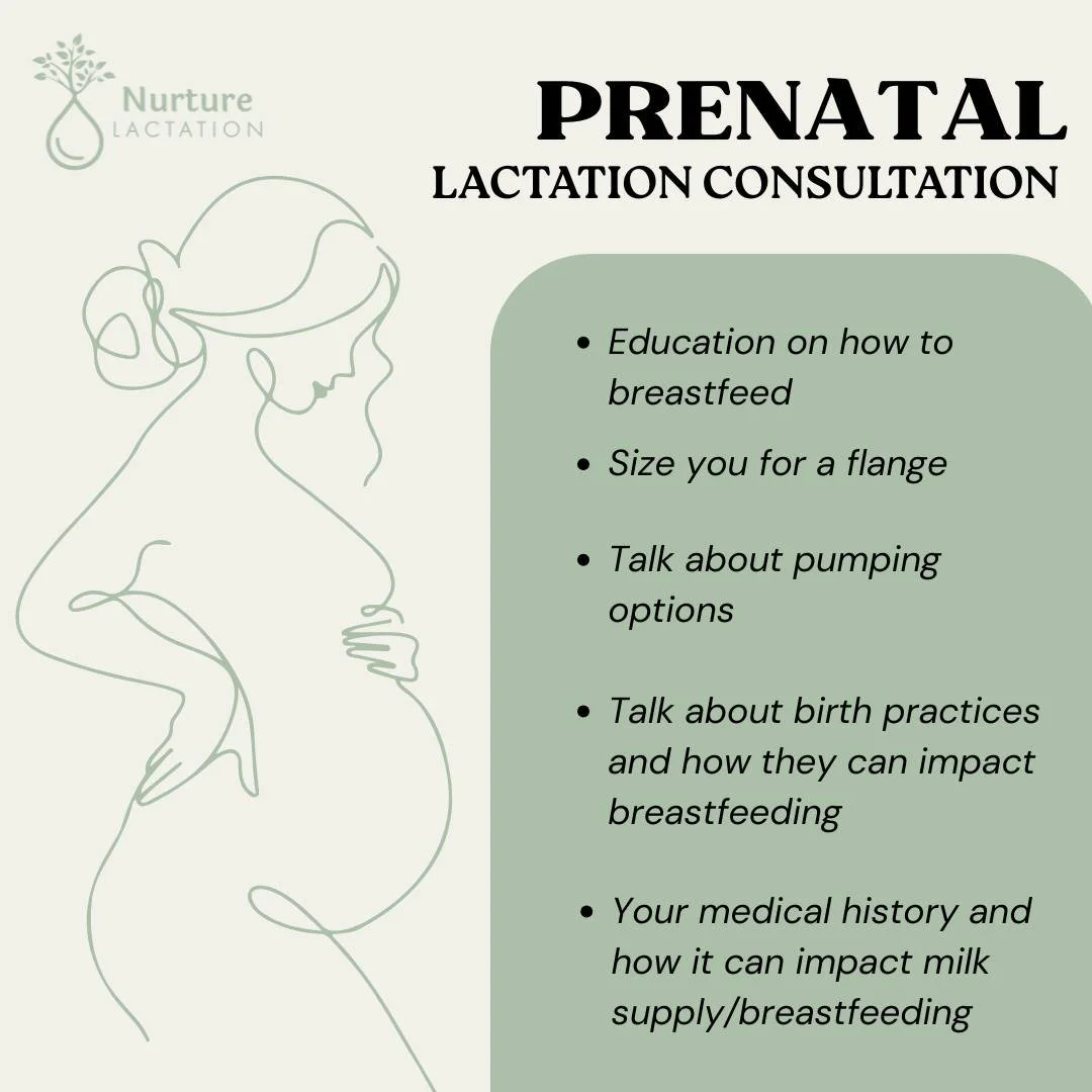 🤰 Planning Ahead for 2026? Let&rsquo;s Talk Prenatal Appointments! 💛

If your baby is due in the 2026 season, now&rsquo;s the perfect time to schedule your prenatal lactation appointment. These sessions are designed to give you confidence, answers,
