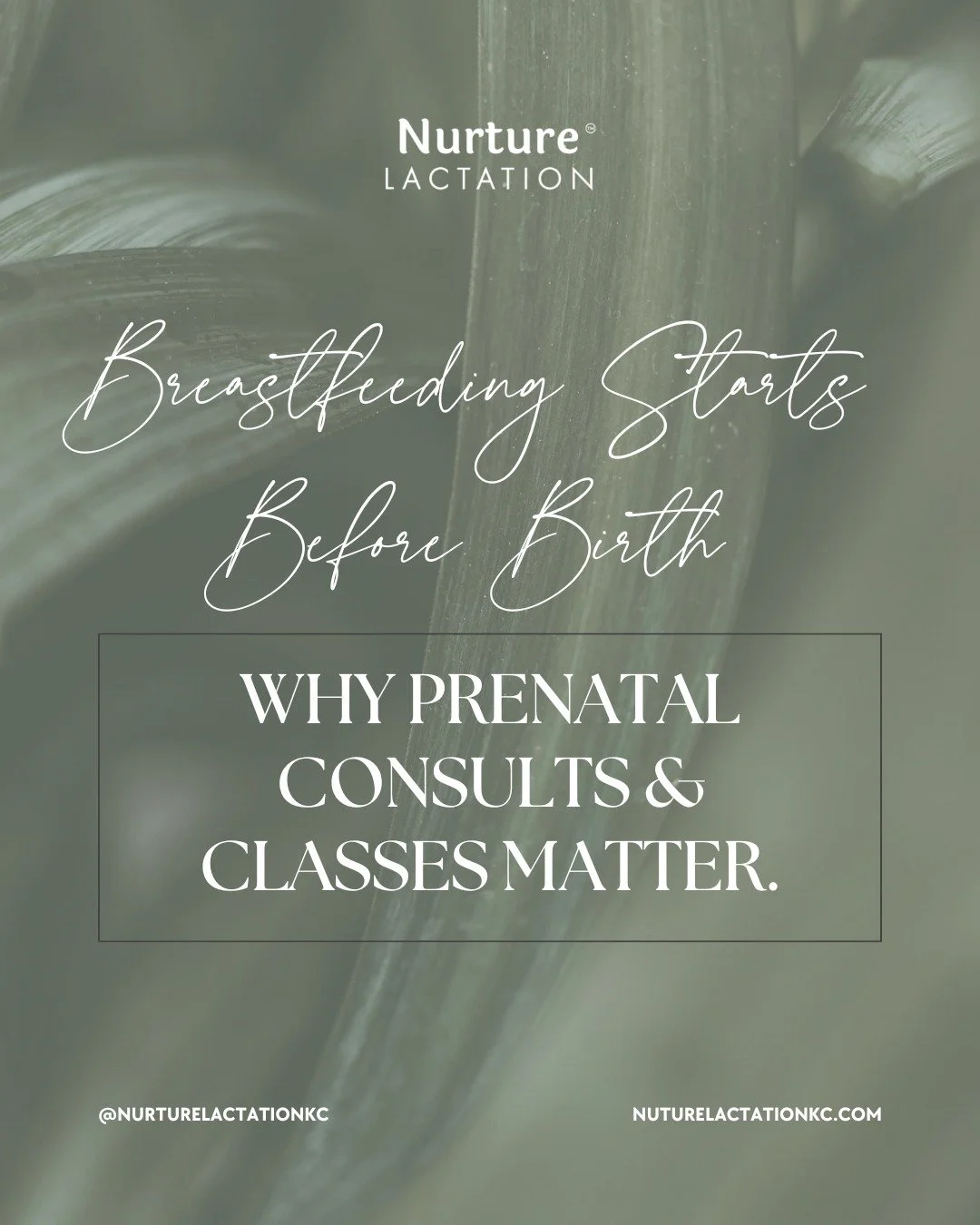eBreastfeeding Starts Before Birth 🤍

Swipe ➡️

Prenatal consults &amp; classes help parents:
✨ Learn how lactation actually works
✨ Set realistic expectations for the early days
✨ Identify potential challenges before baby arrives
✨ Feel confident a