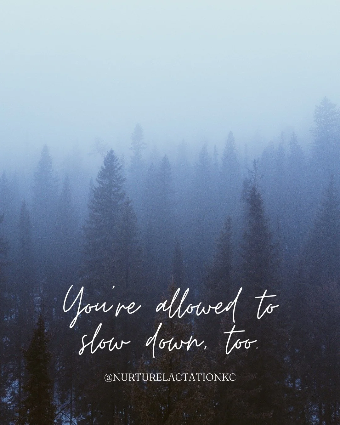Winter hibernation = postpartum. ❄️

The earth slows down after seasons of growth&mdash;and so does the body.

Postpartum is a period of intense biological recovery:
hormones rapidly shift, organs move back into place, tissues heal, and the nervous s