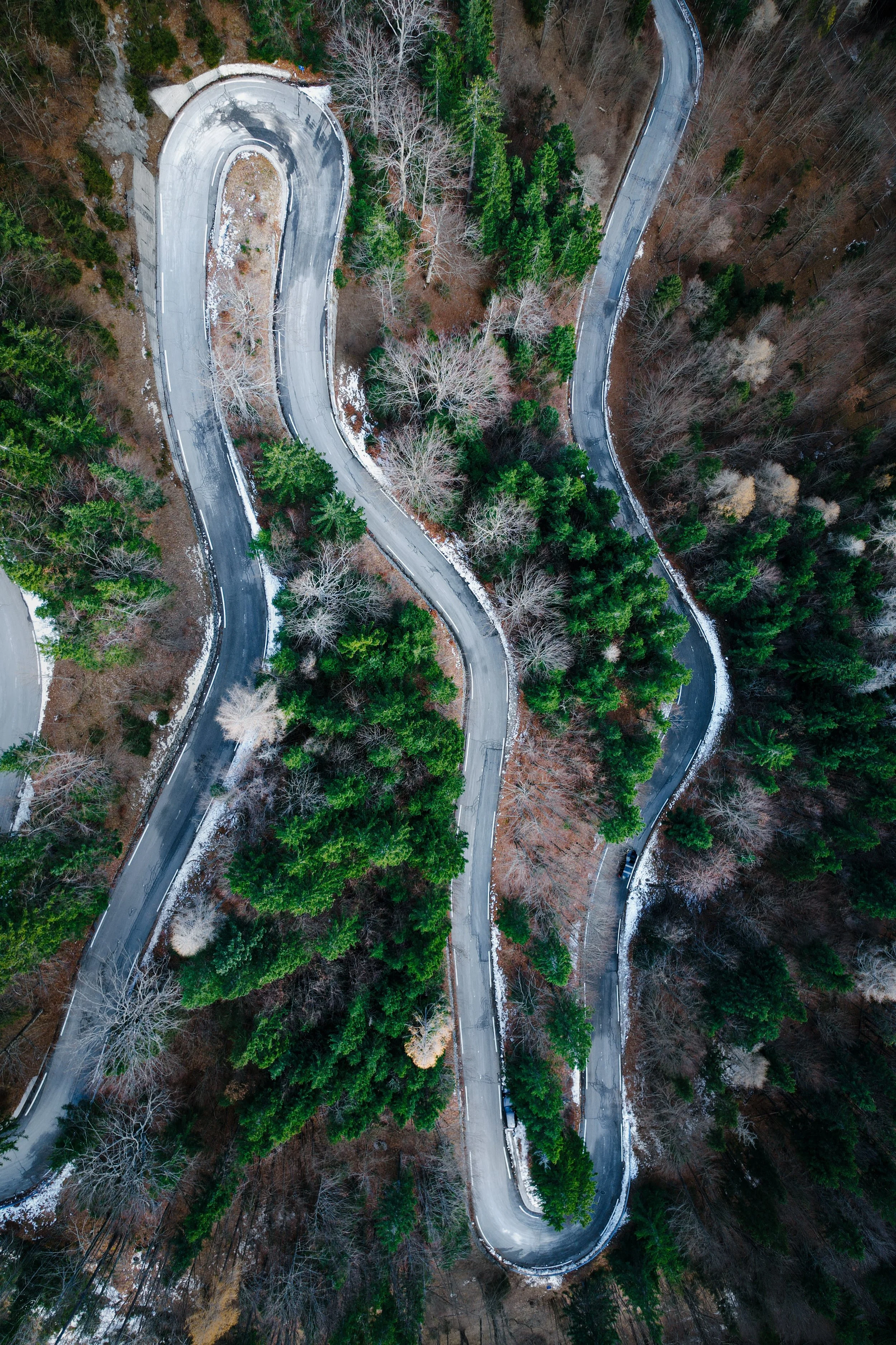 The Essential Journey