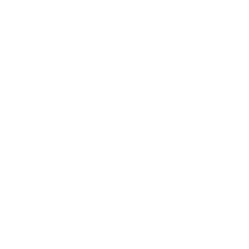 Money Sign Icon in white