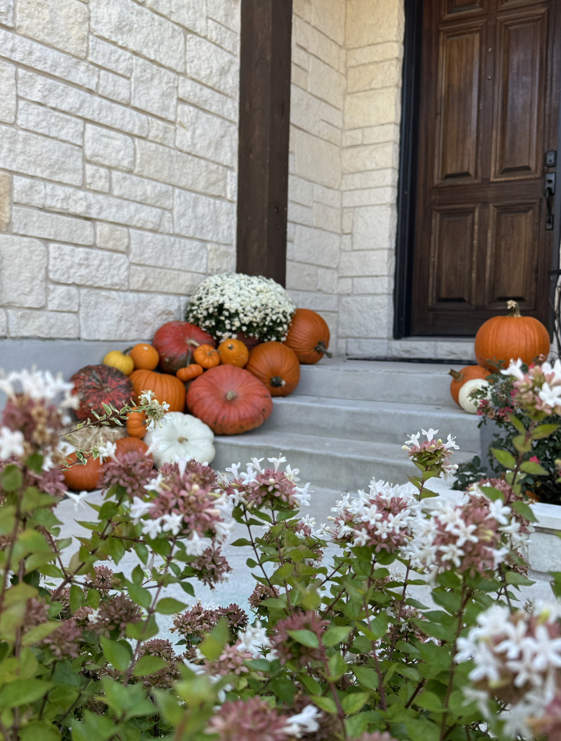 Screenshot 2025-09-26 at 3.24.20 PM.png