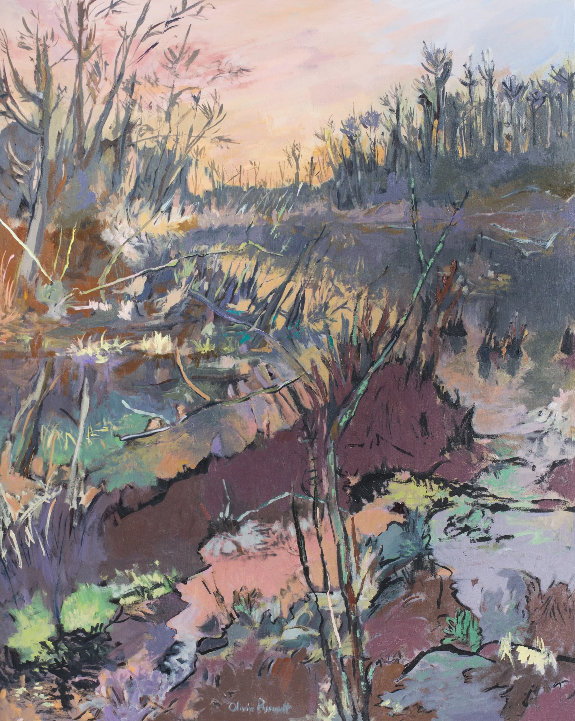 A Feburary Sunrise.jpg