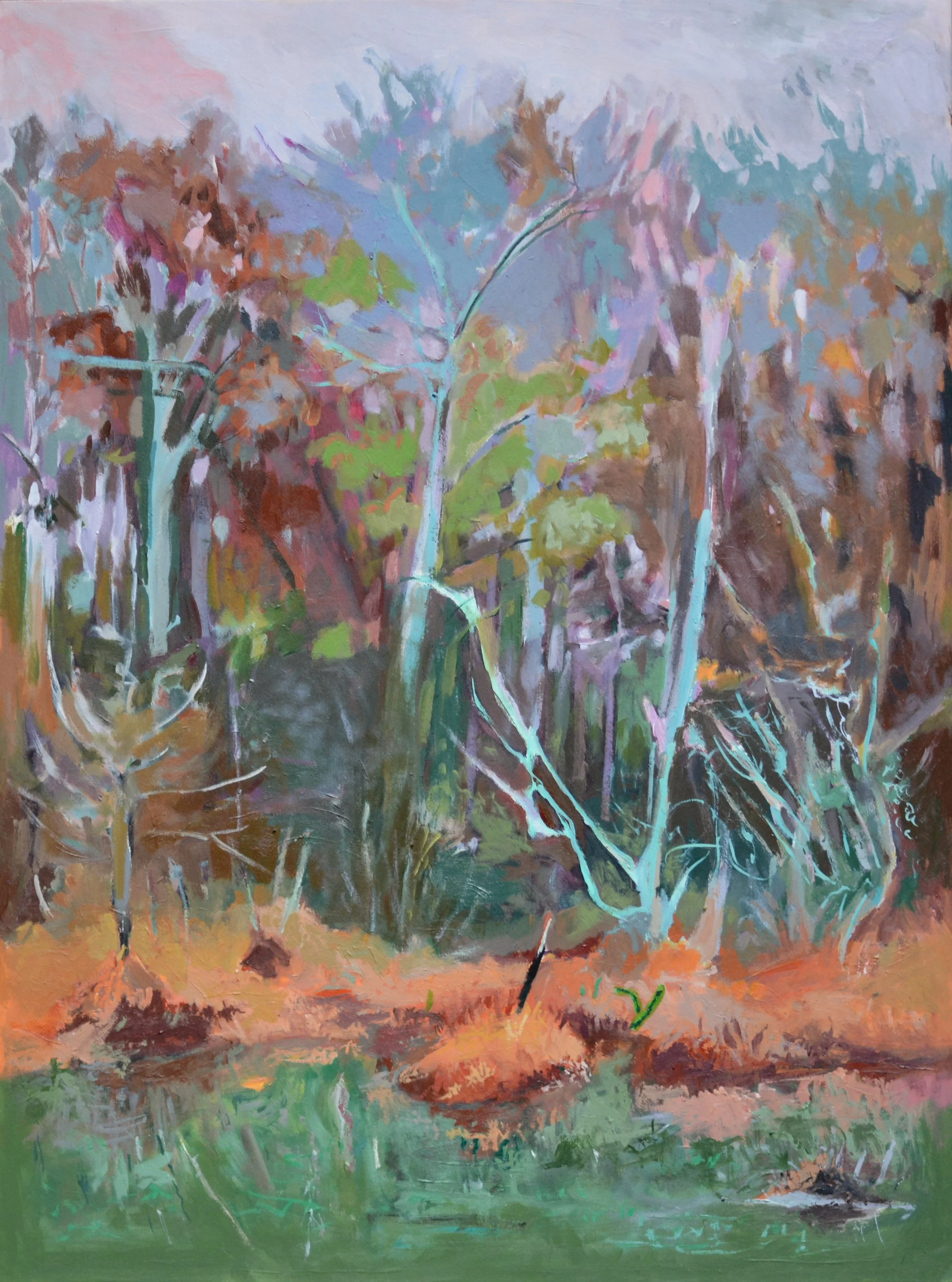 Piedmont Seeps 7.JPEG