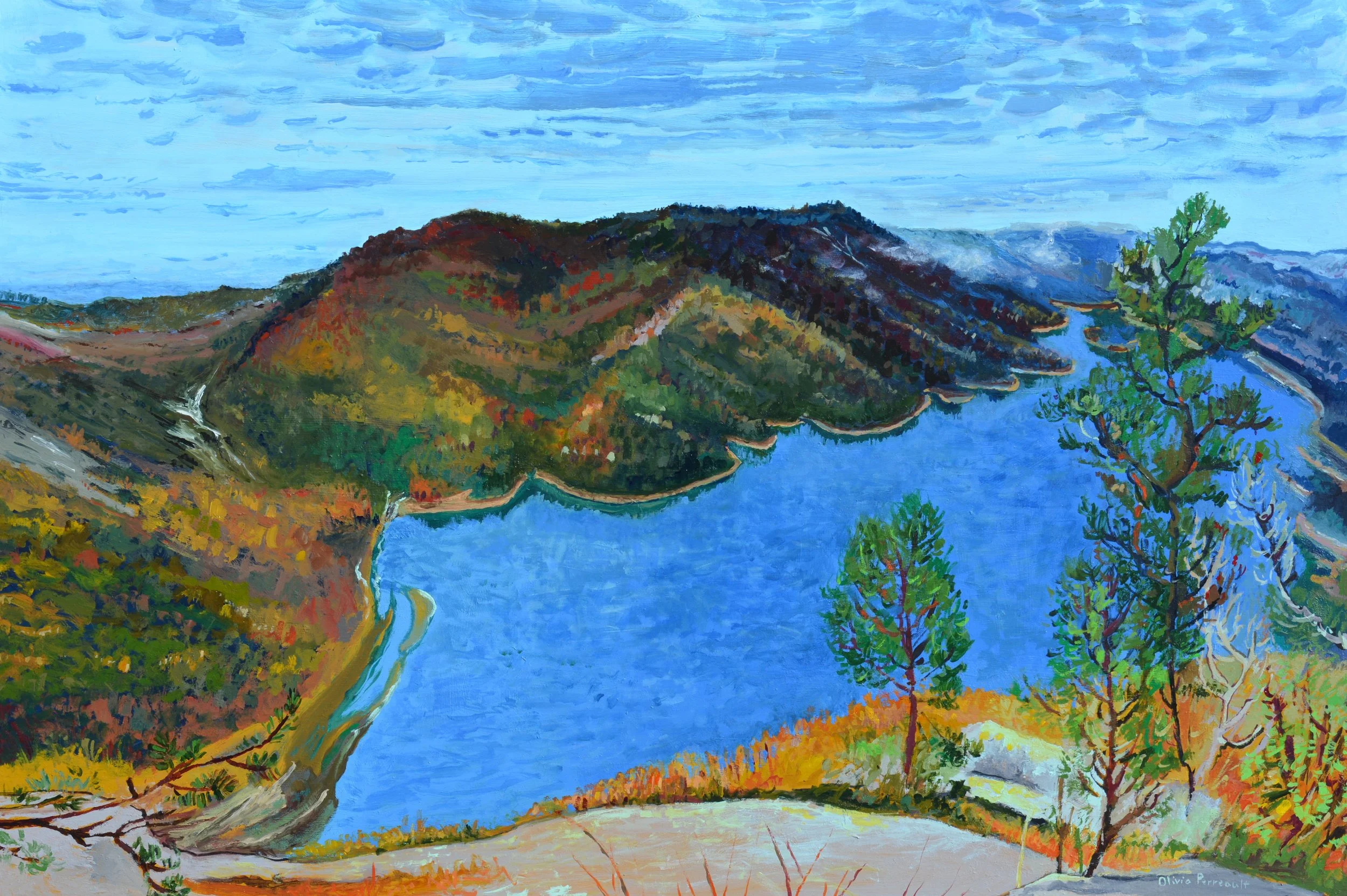 Pinnacle Mountain Trail view of Table Rock Reservoir_24_ x 36_ Acrylic on wood_$2420 copy.JPG