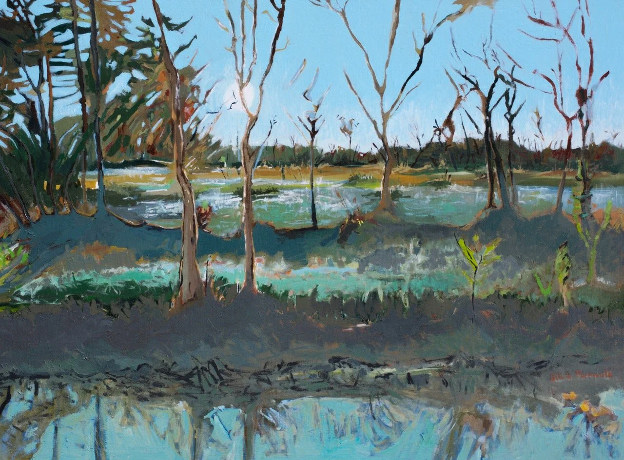 Layers of Light and Land_30%22x40%22_$1700_Sold_2020.JPEG