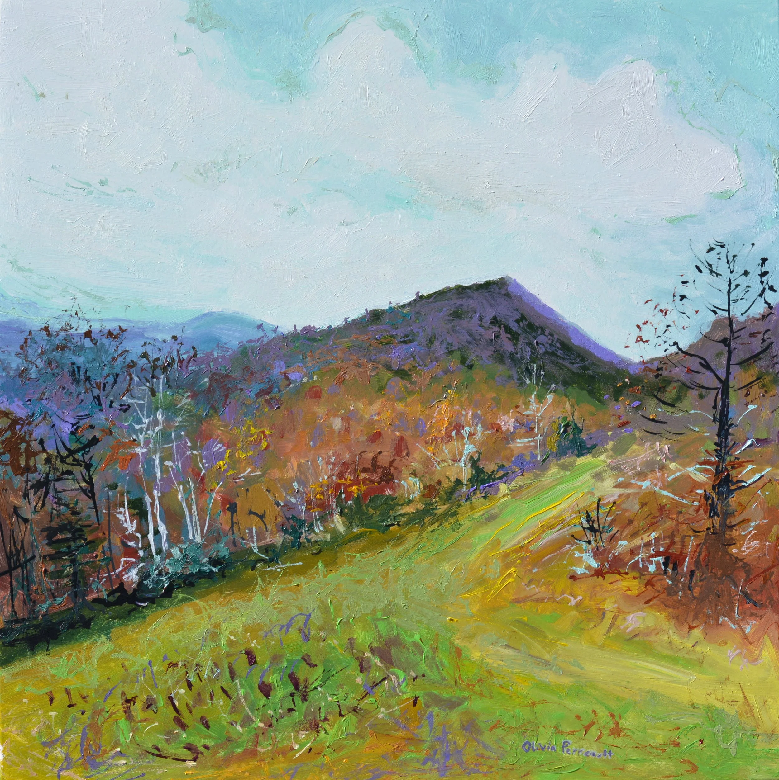Green Mountain Pasture_12%22 x 12%22_$310_2023.JPG