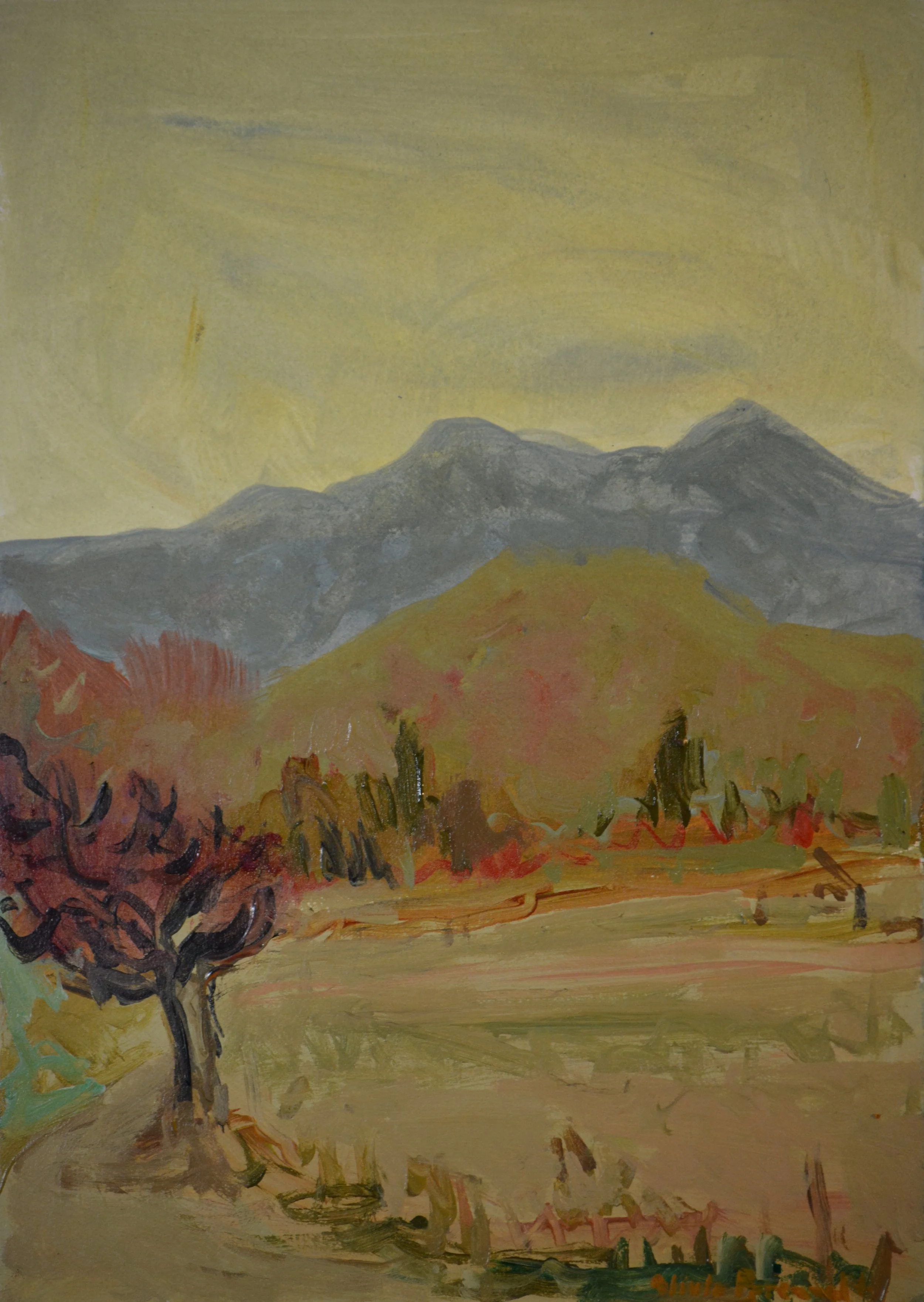 Olivia Perreault_Pasture Between the Mountains 2, Plein Air, board, 5%22x 7%22 $95 .JPG