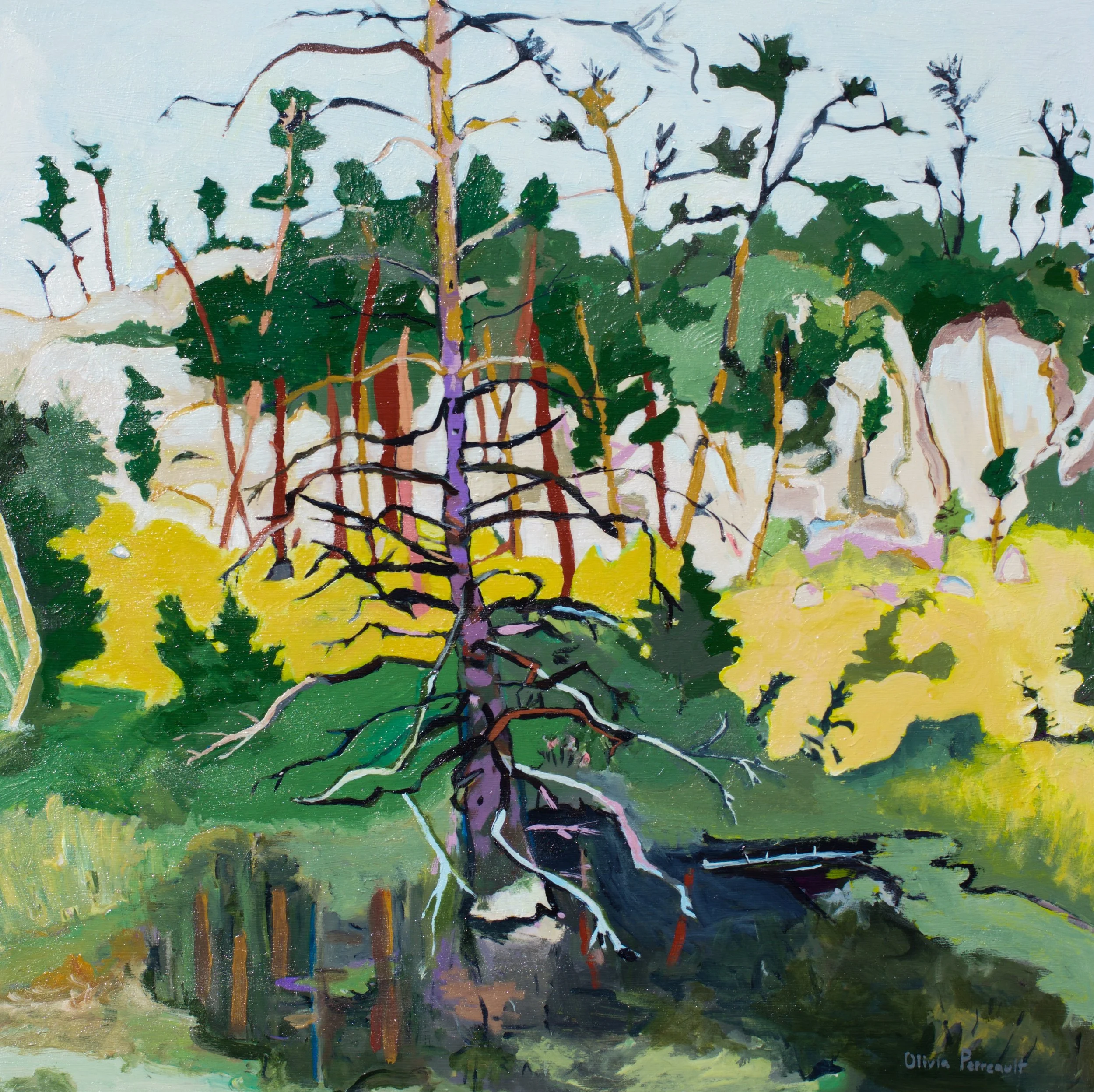 A Stop Along the Way to Custer State Park 24%22 x 24%22 $795 .JPEG