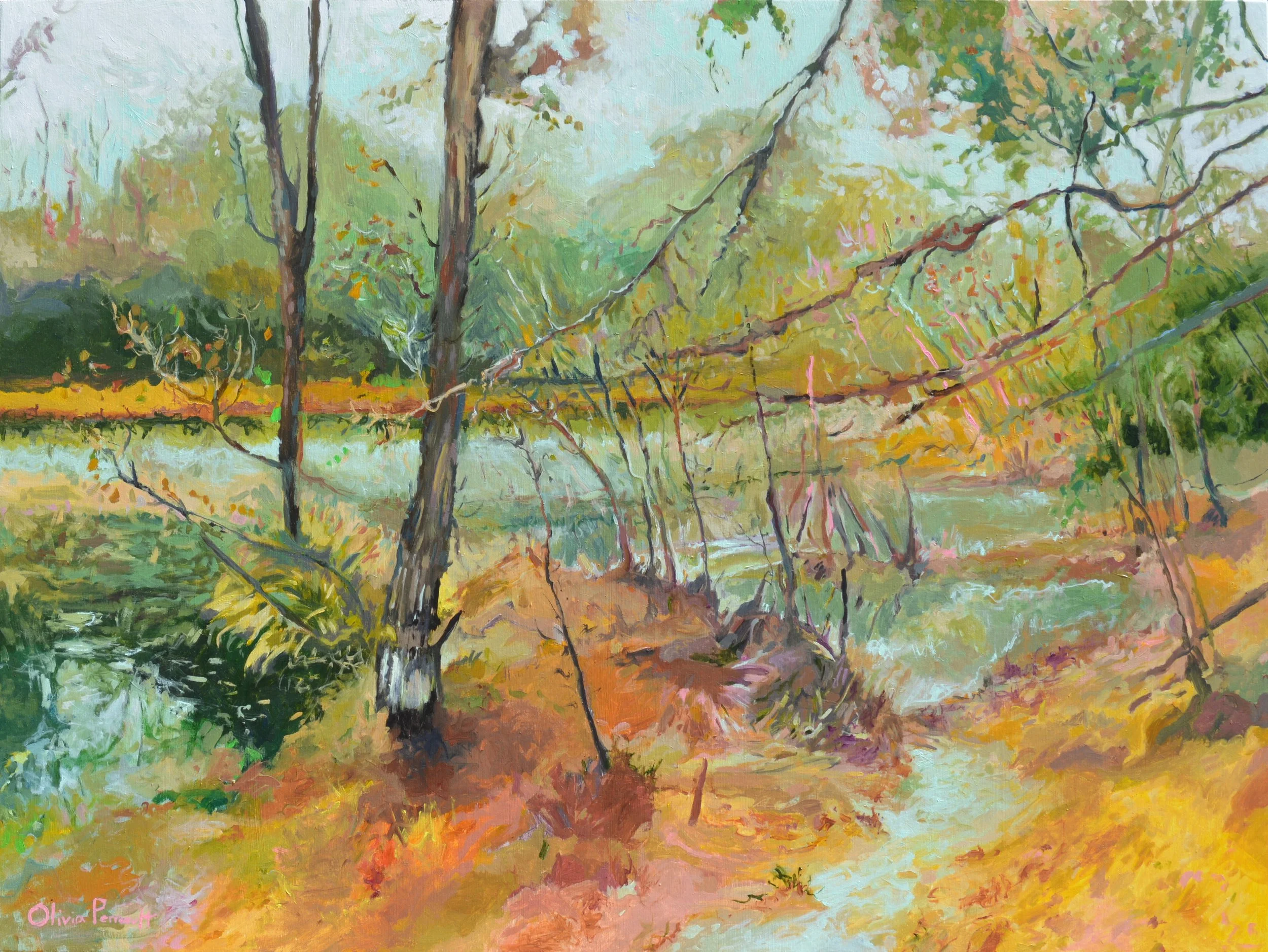 Backyard Swamp 30%22 x 40%22 $1700.JPG