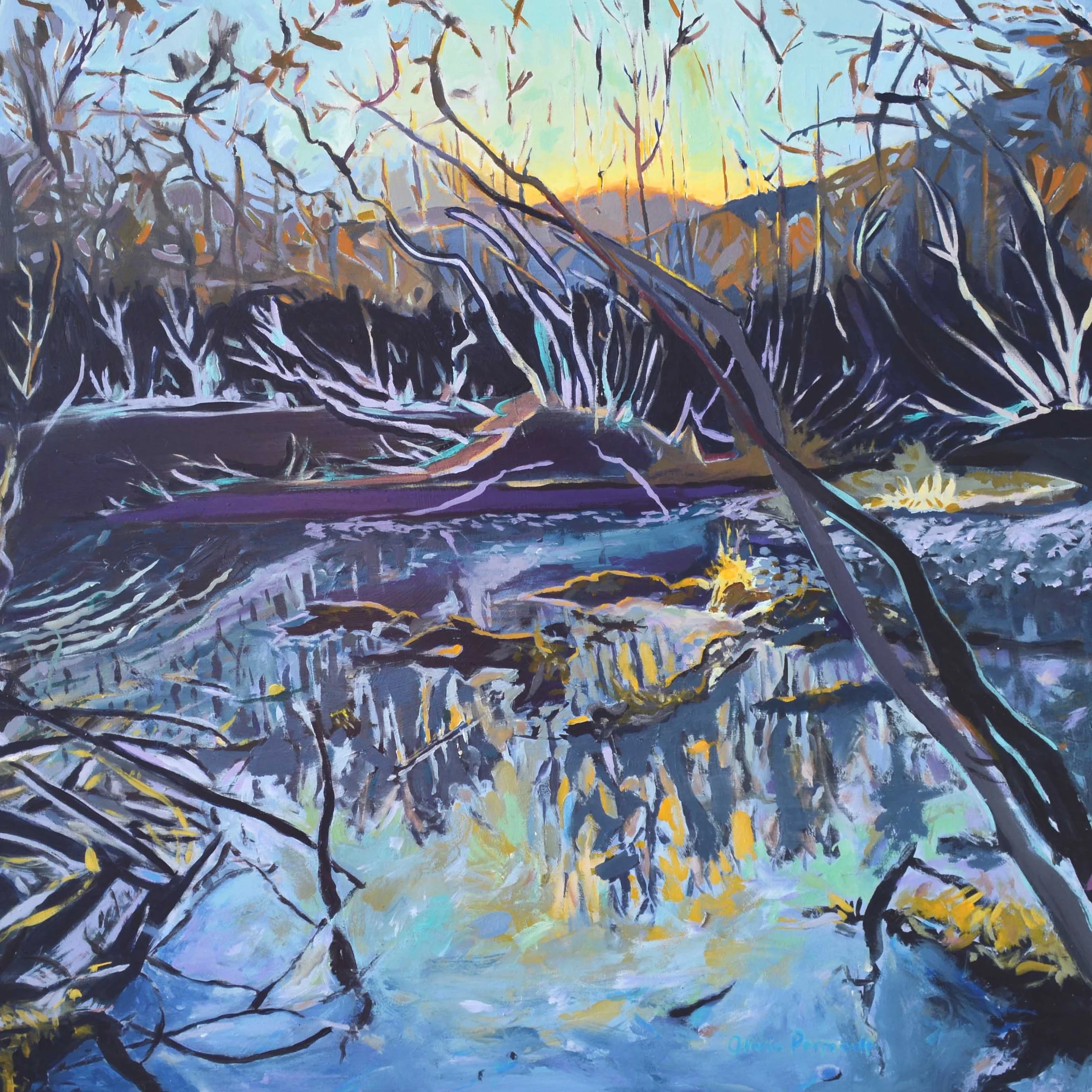 Early Evening Sun copy.jpg