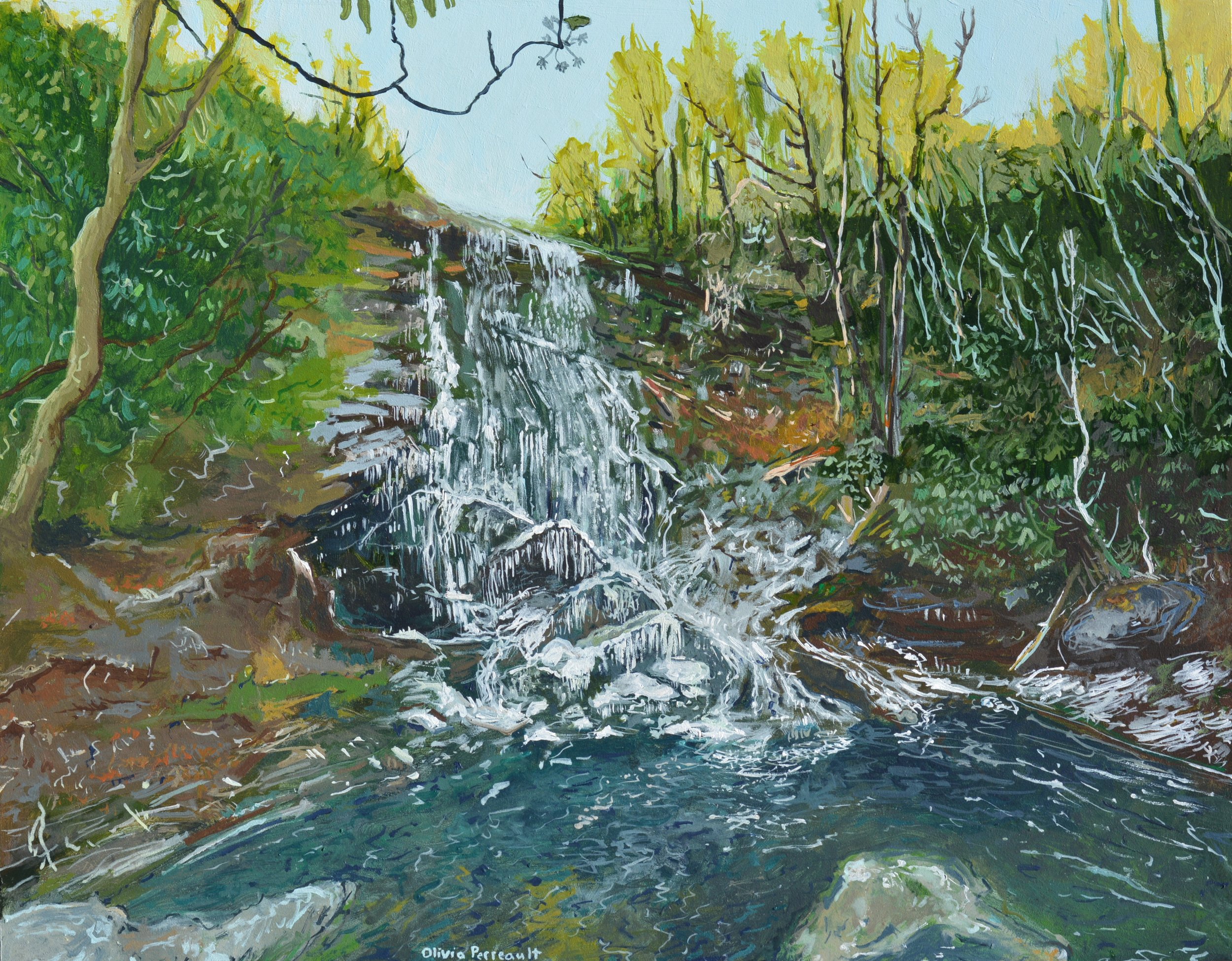 Catawaba Falls for Reed_2026.JPG