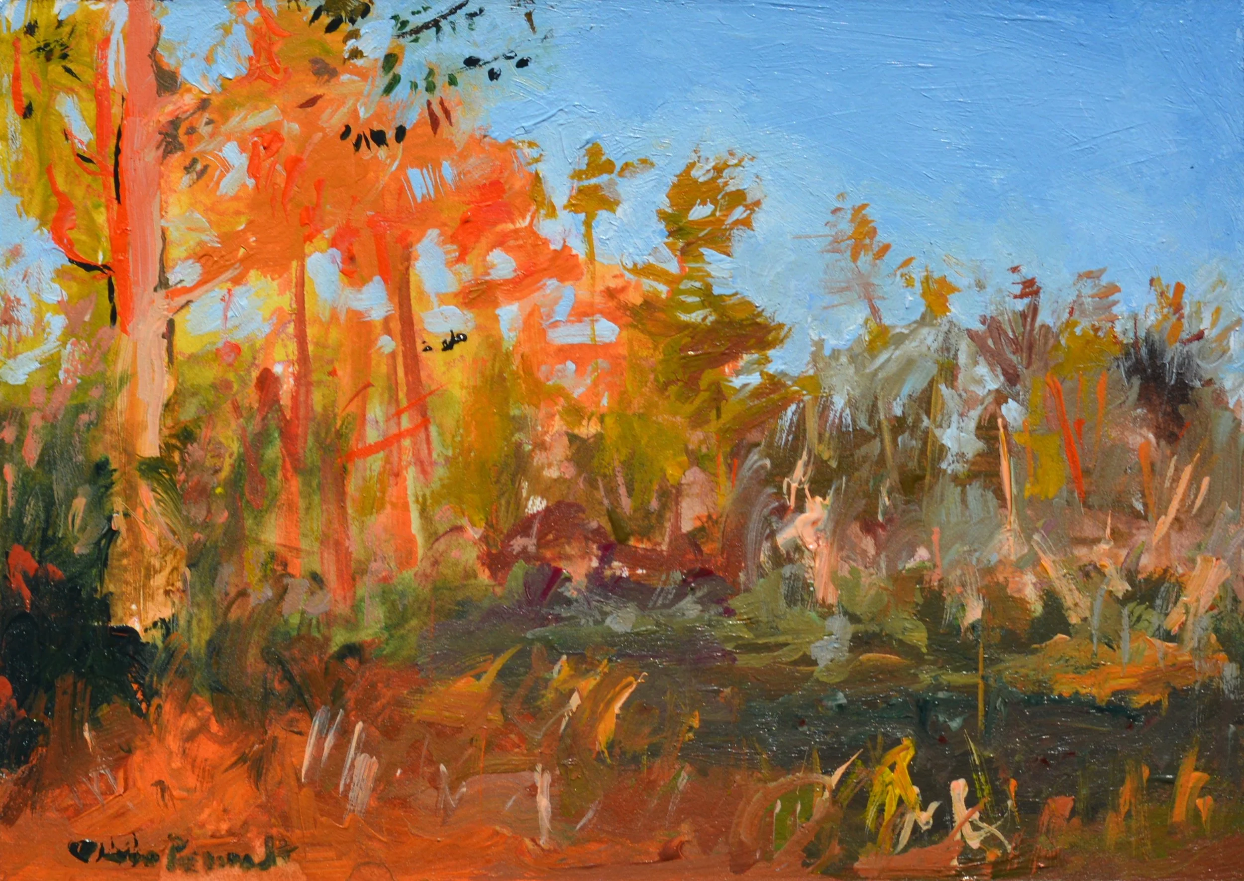 Olivia Perreault_Conestee at 4PM Glow_5%22x7%22_$95.JPG