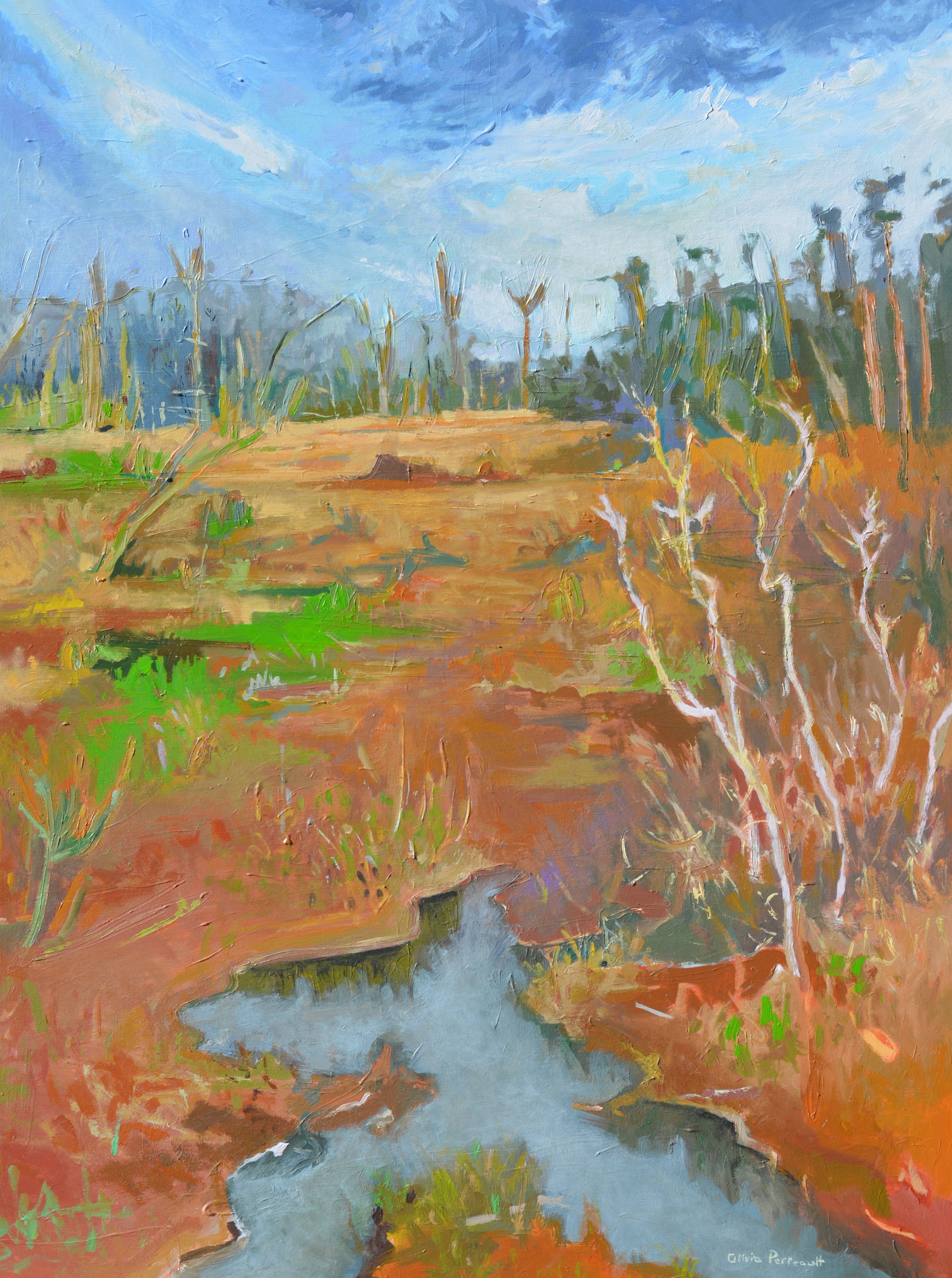 A Bright March Day at the Grassy Mire .JPG