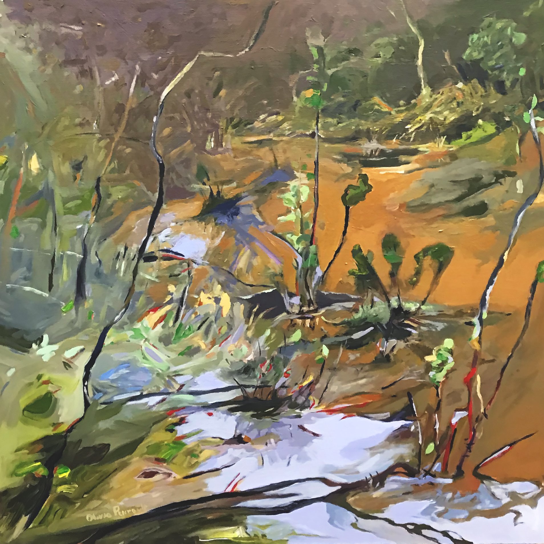 Murky Water copy.jpg