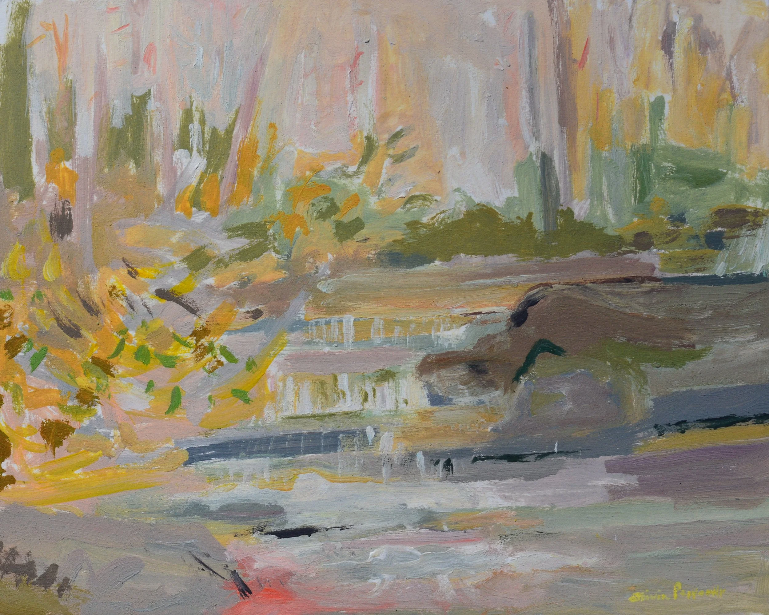 Soft Morning Light on the Flat Falls copy.JPG