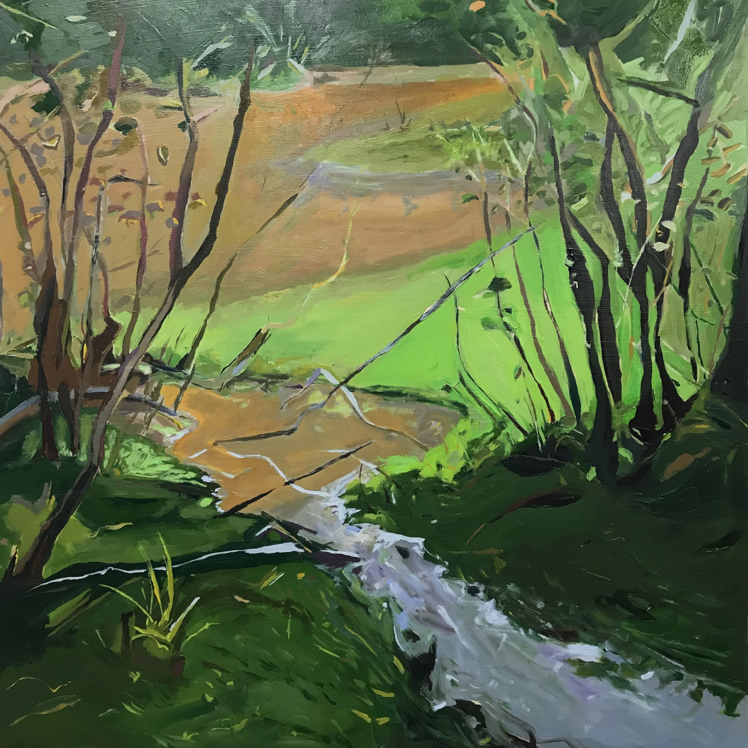 After the Rainstorm copy.jpg